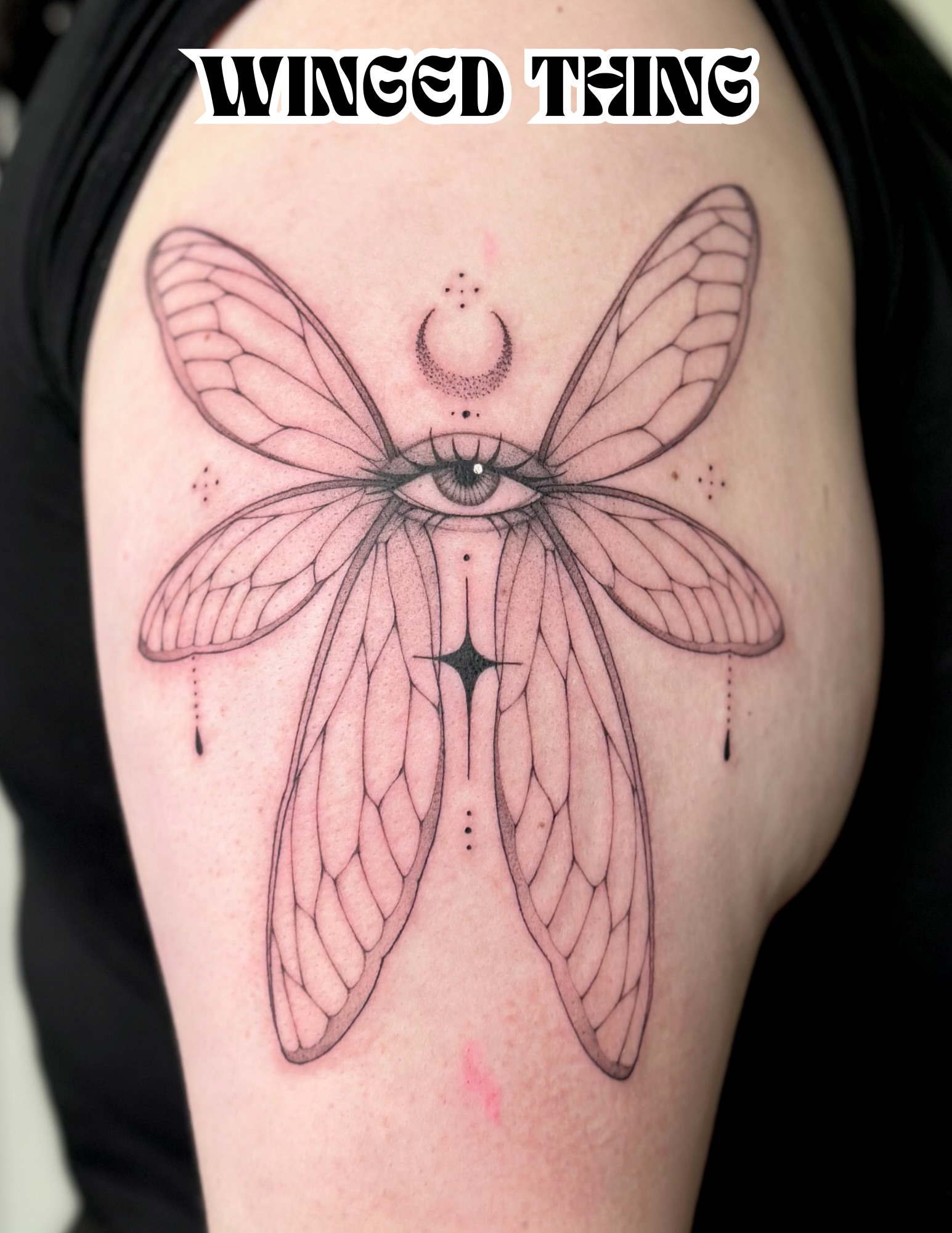 Insect geometric tattoo on the shoulder by Victoria Lamorte