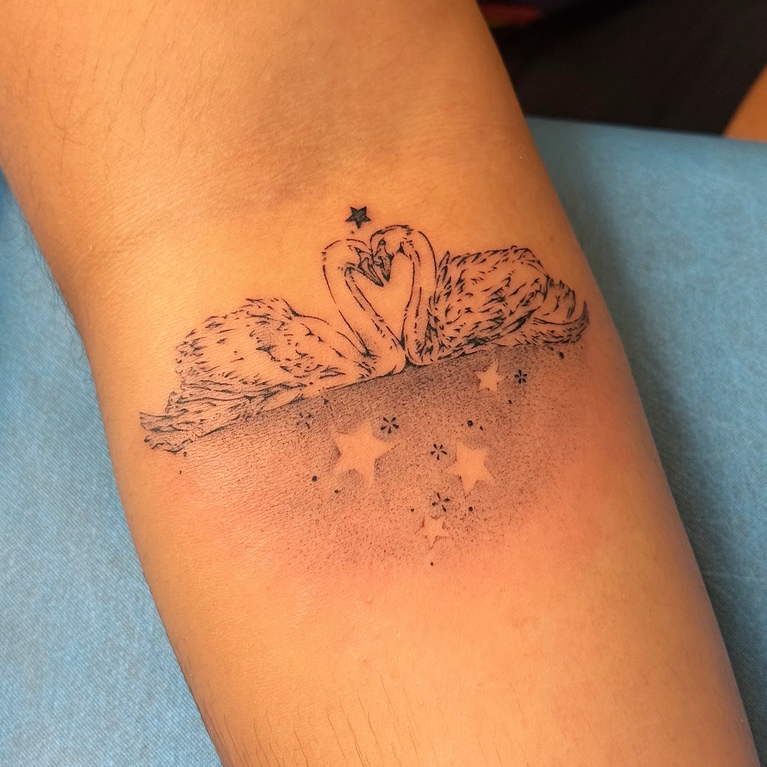 Swans dotwork tattoo on the forearm by Echo