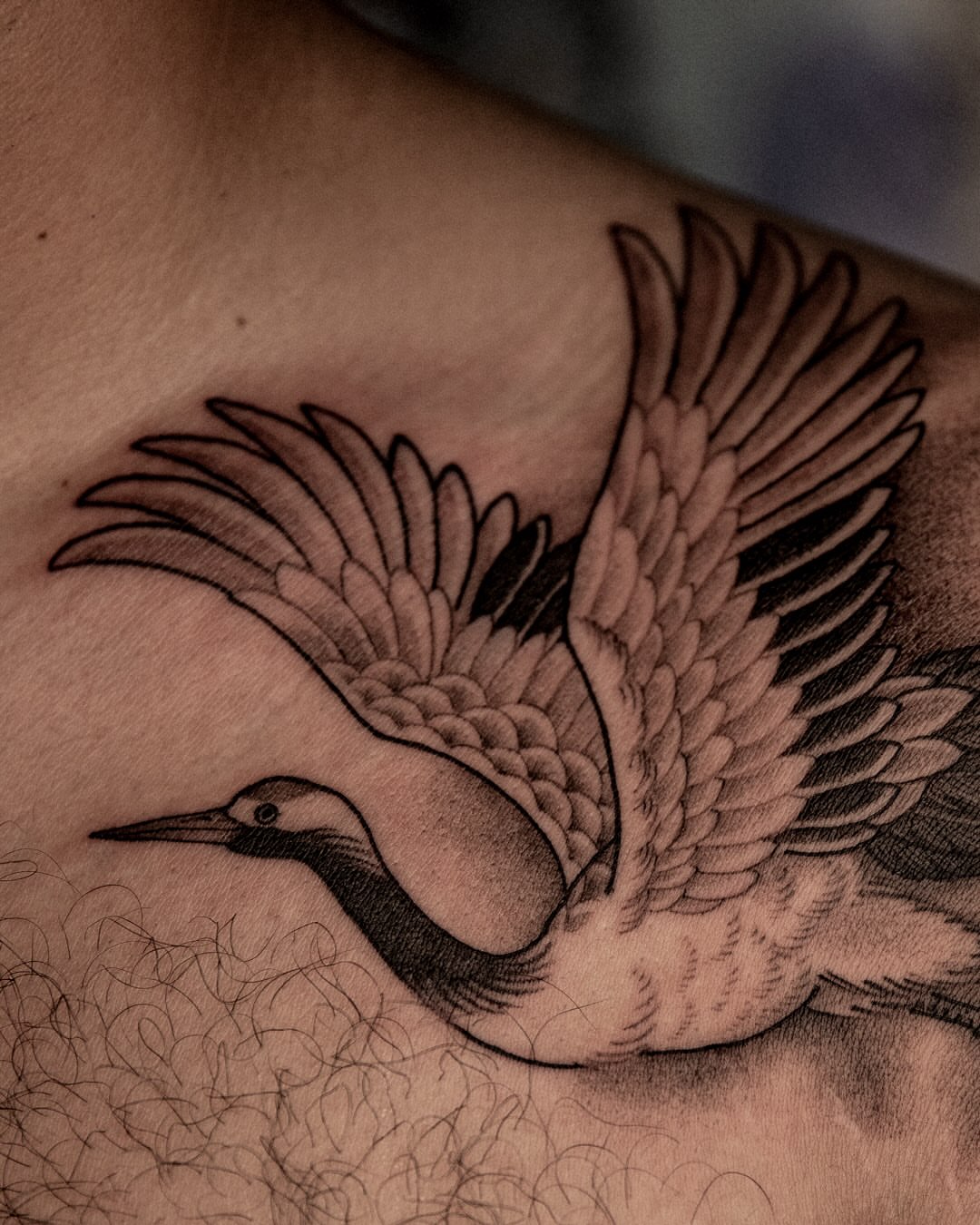 Bird black and grey tattoo on the chest by 홍대타투