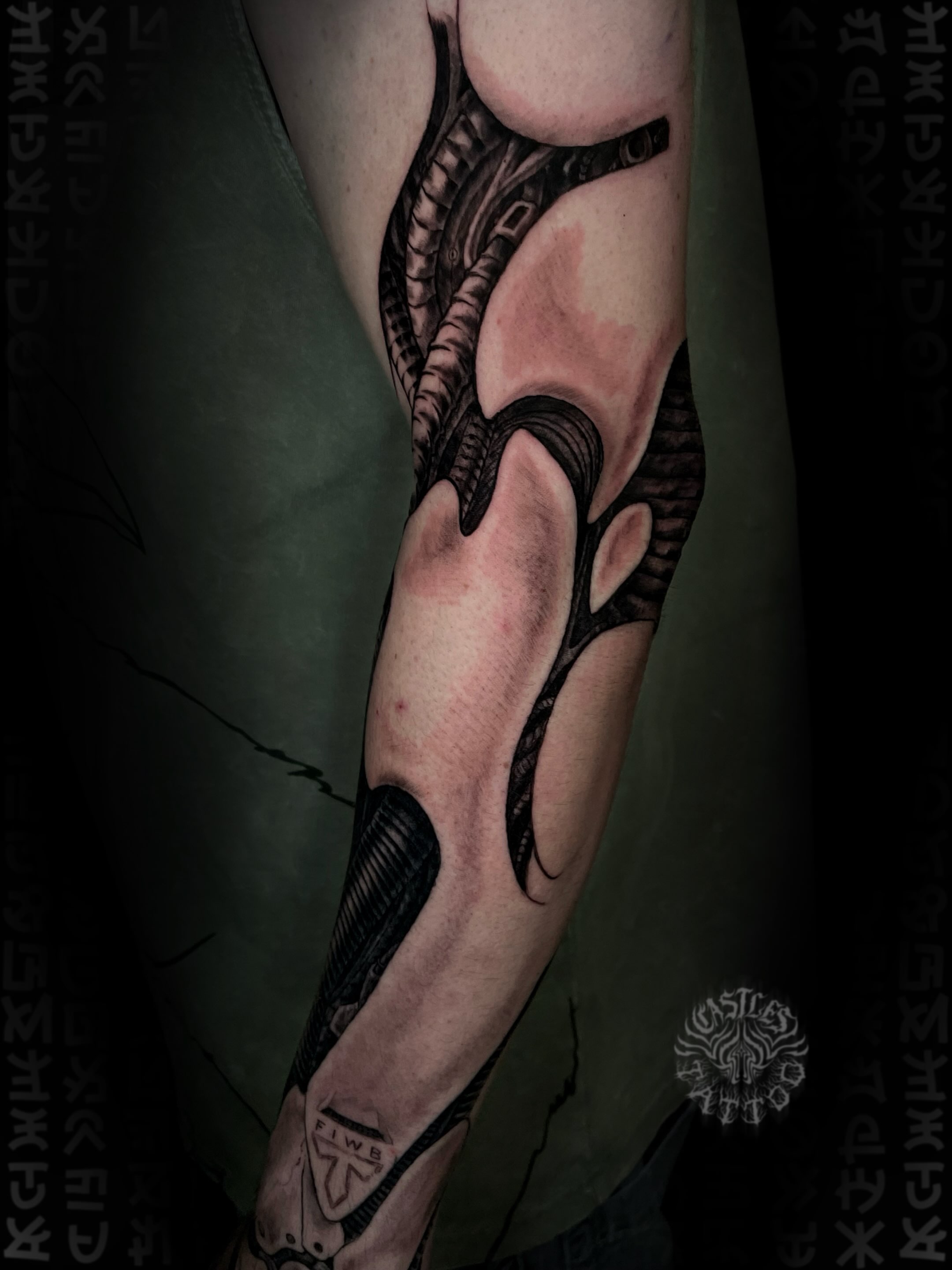 Snake realism tattoo on the forearm by Erin Portland Tattoo Artist