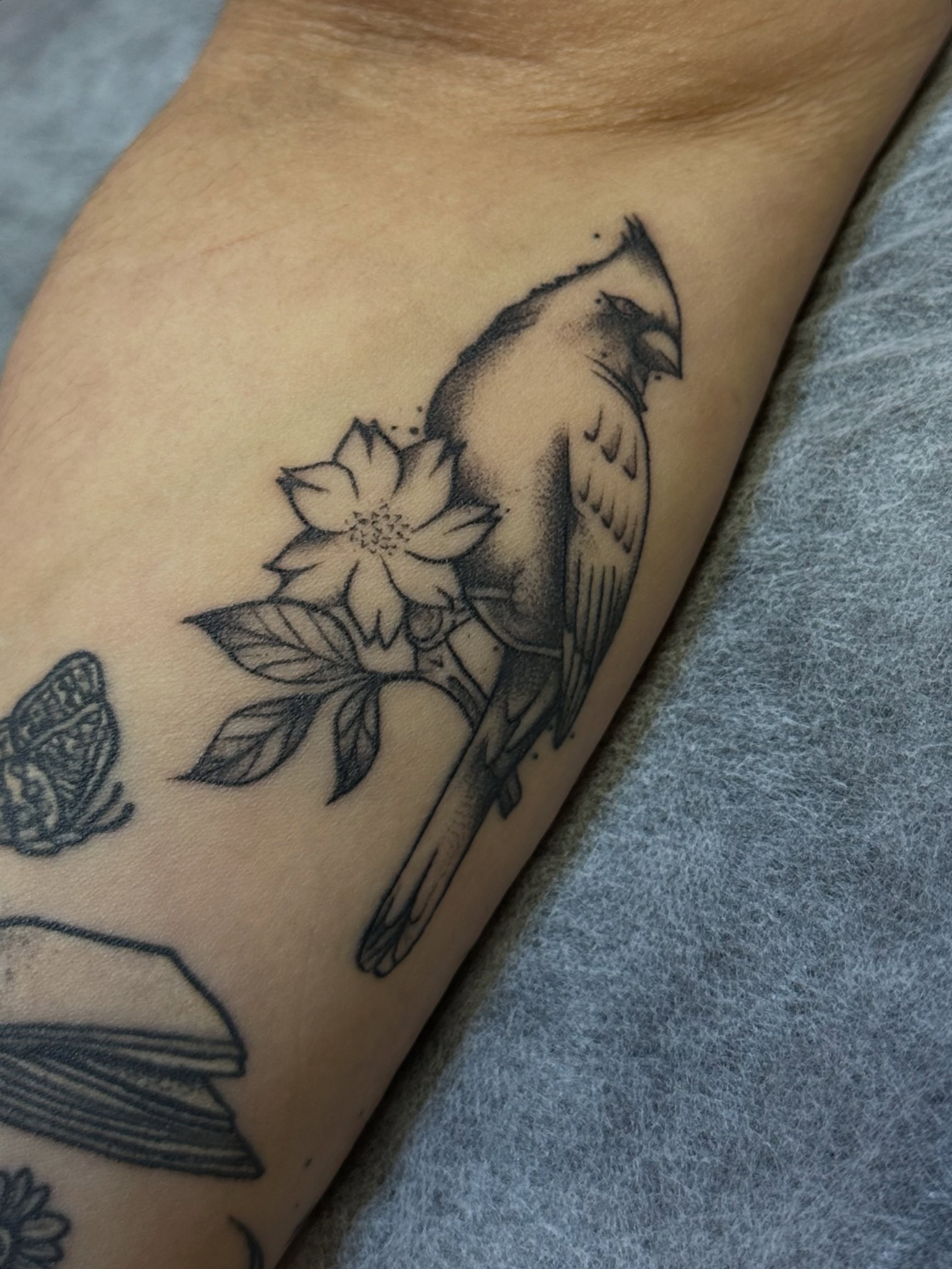 Cardinal and flower black and grey tattoo on the forearm by Jocelyn