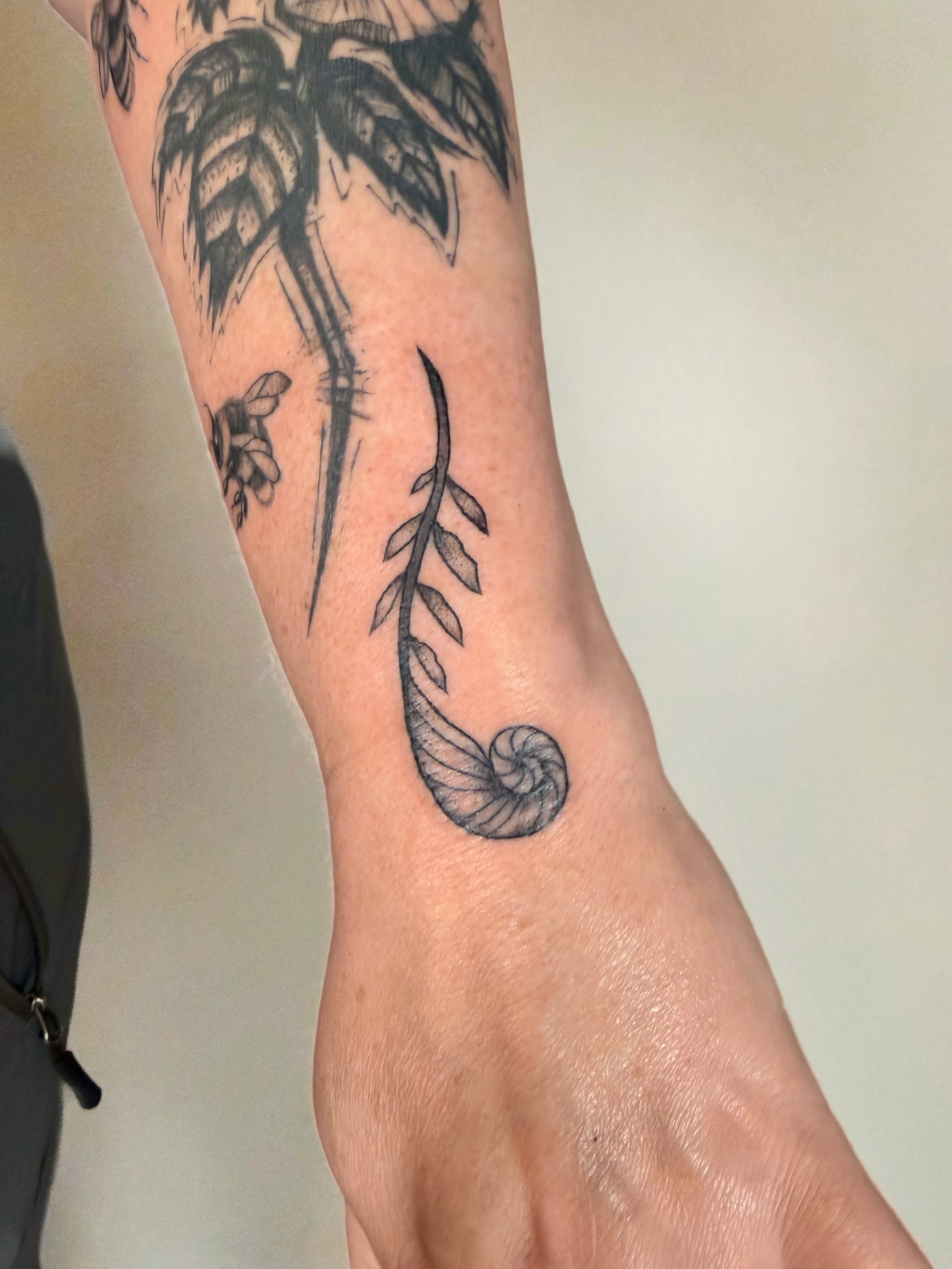 Nautilus shell and plant black and grey tattoo on the forearm by Hannah, Portland, Oregon