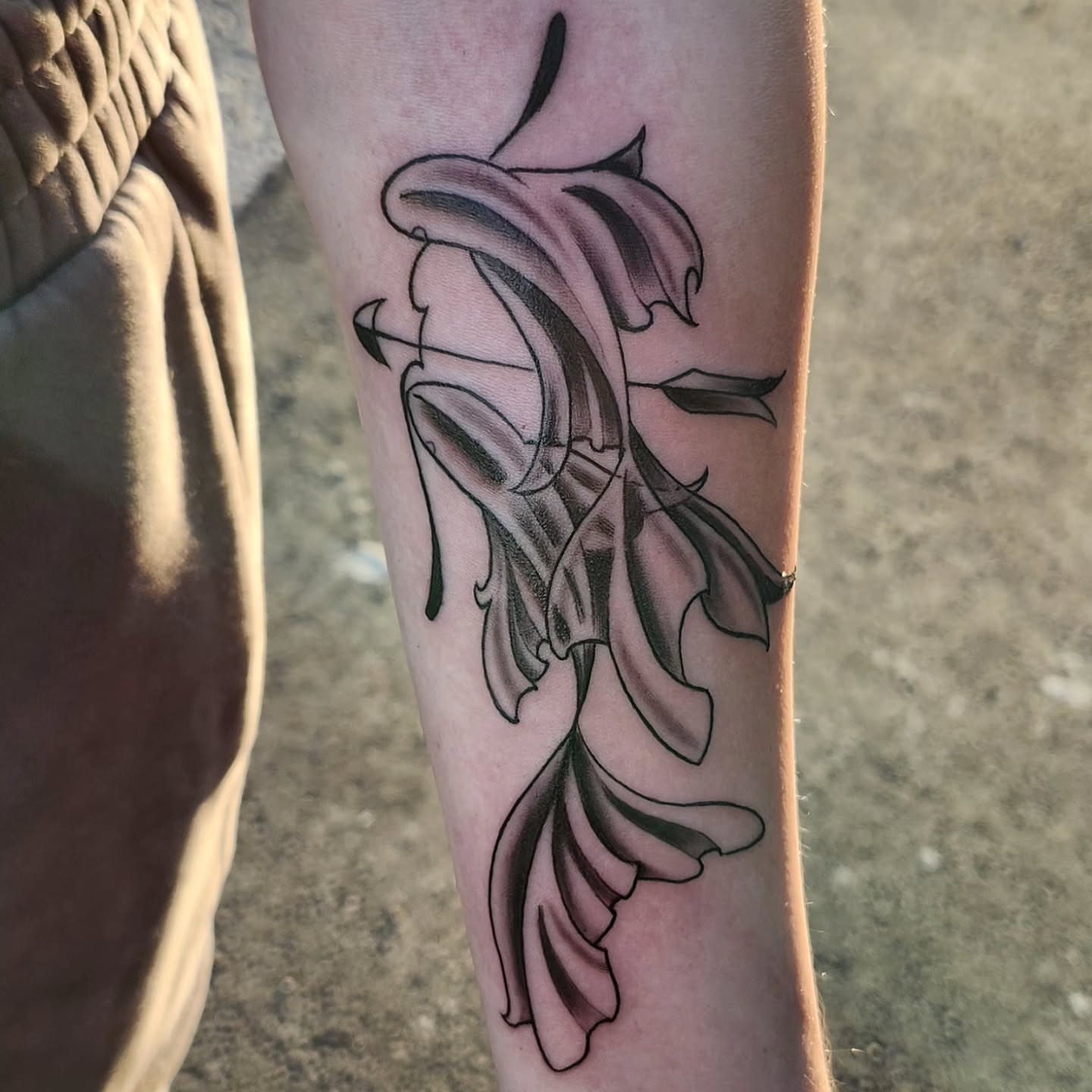 Tattoo by @timbishop_tattoos — black_and_grey