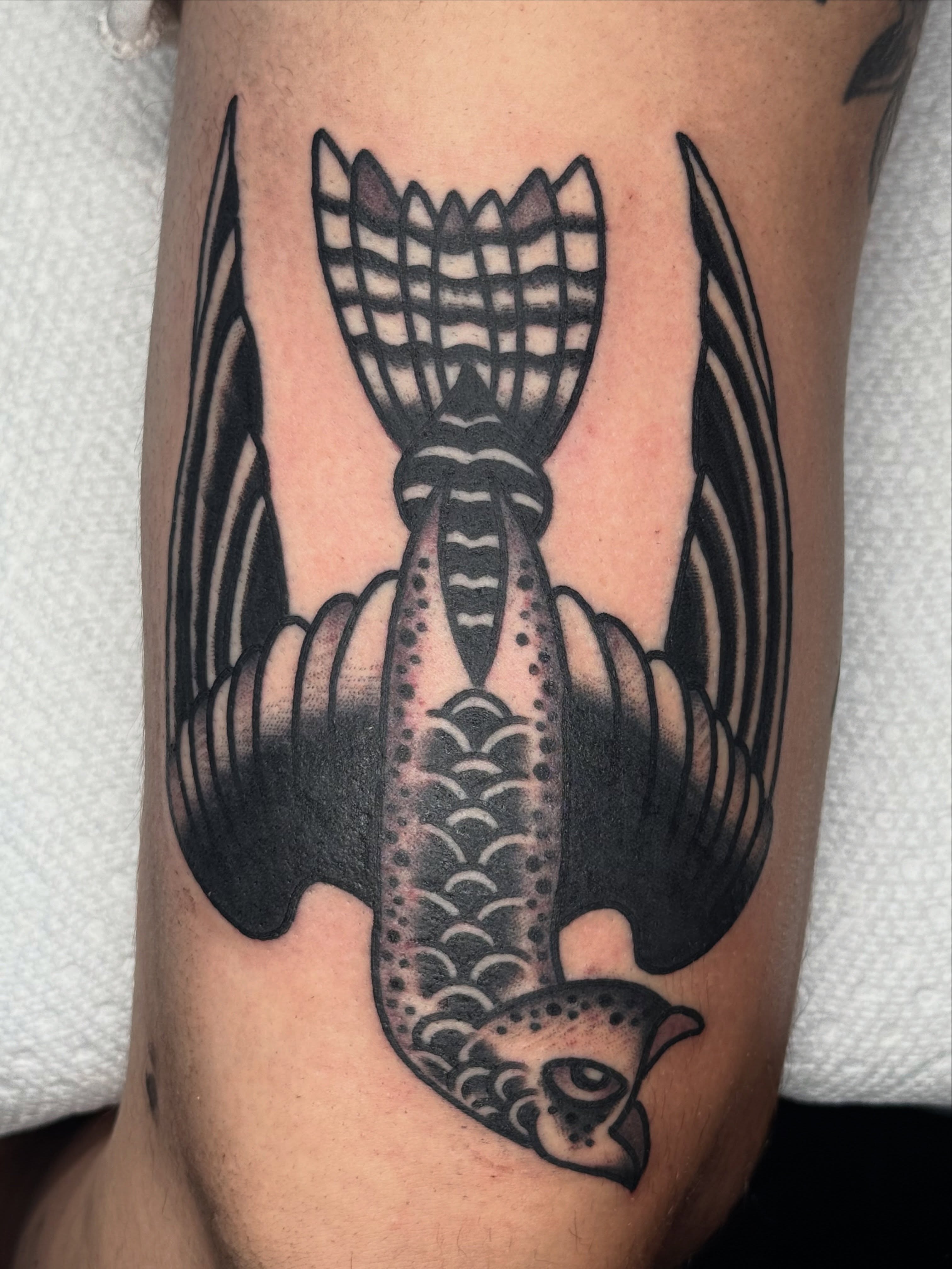 Swallow American traditional tattoo on the forearm by ๐ฎ๐๐๐๐ ๐ญ๐๐๐๐๐