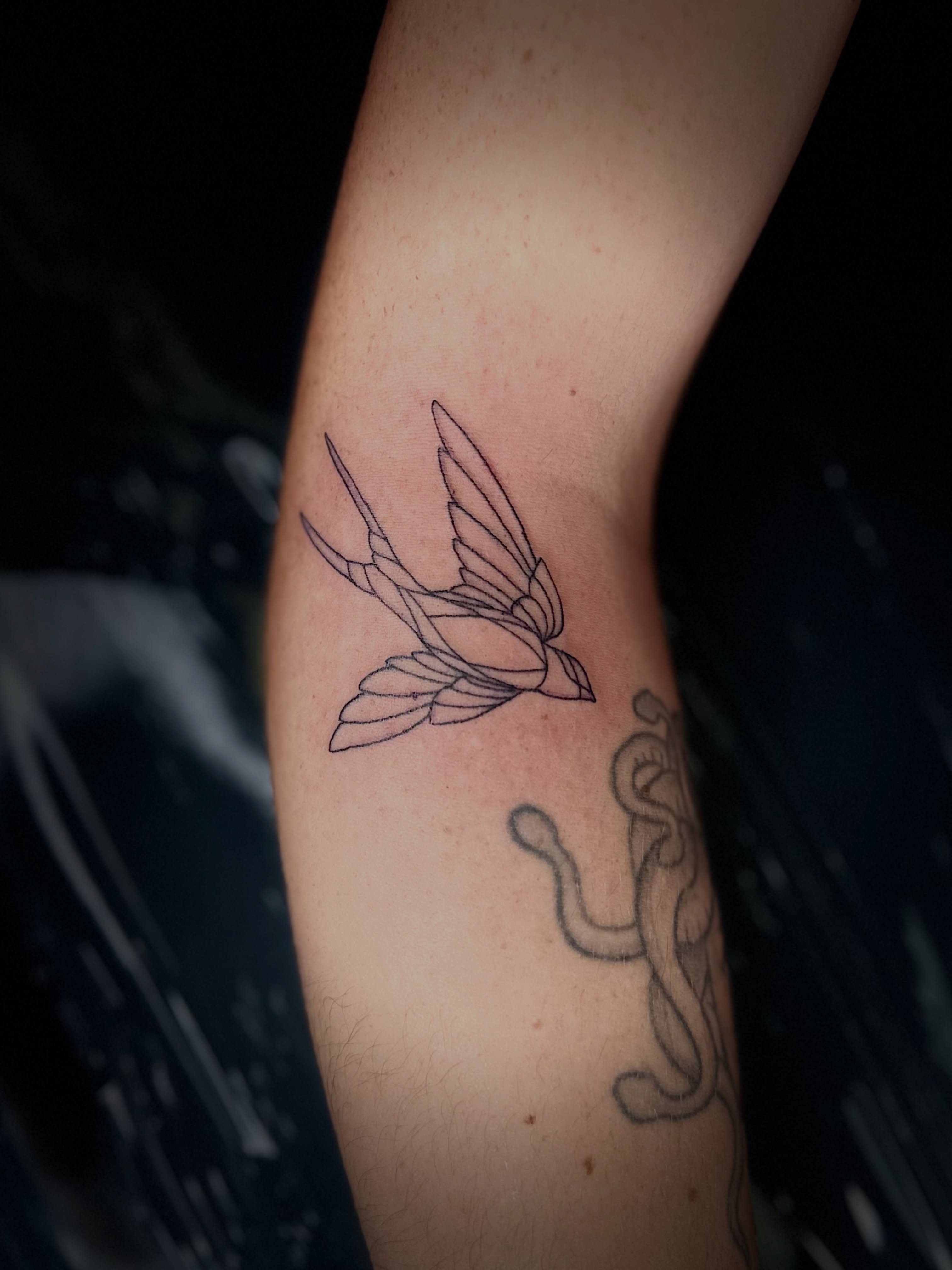 Swallow fine line tattoo on the forearm by NuNu