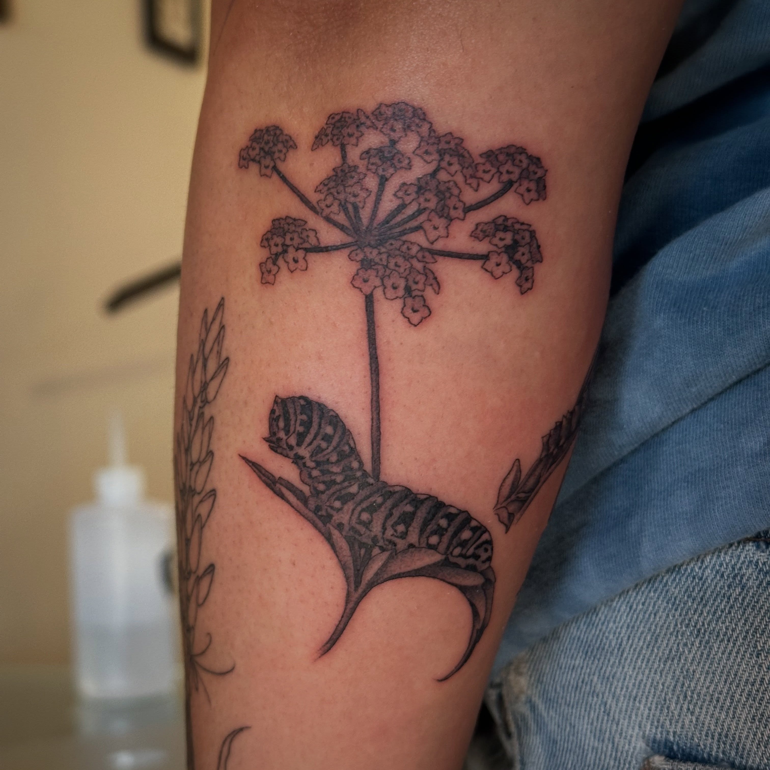 Flower with caterpillar black and grey tattoo on the forearm by Bree Lin