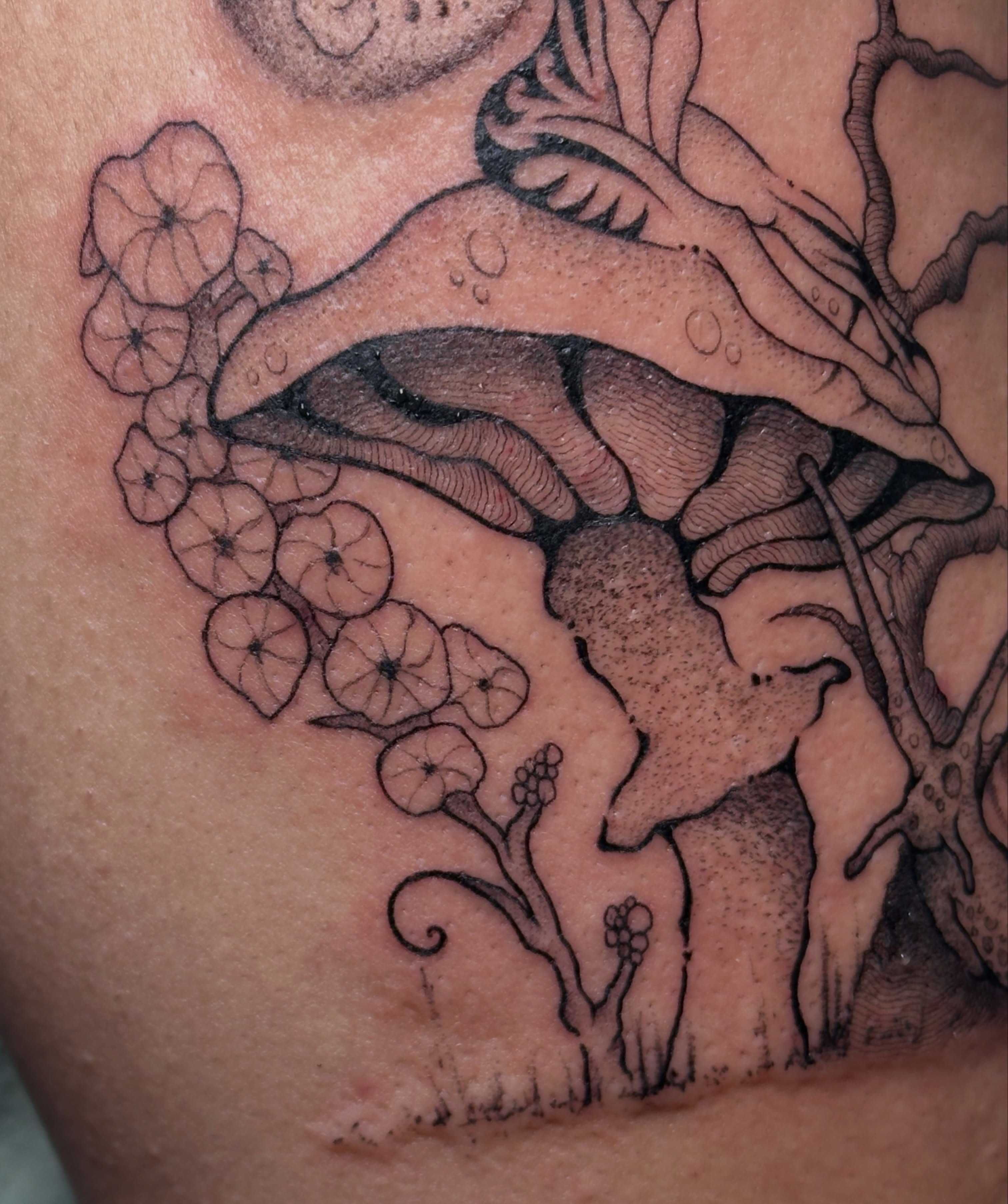 Tattoo by @guayabaiqueso — black_and_grey