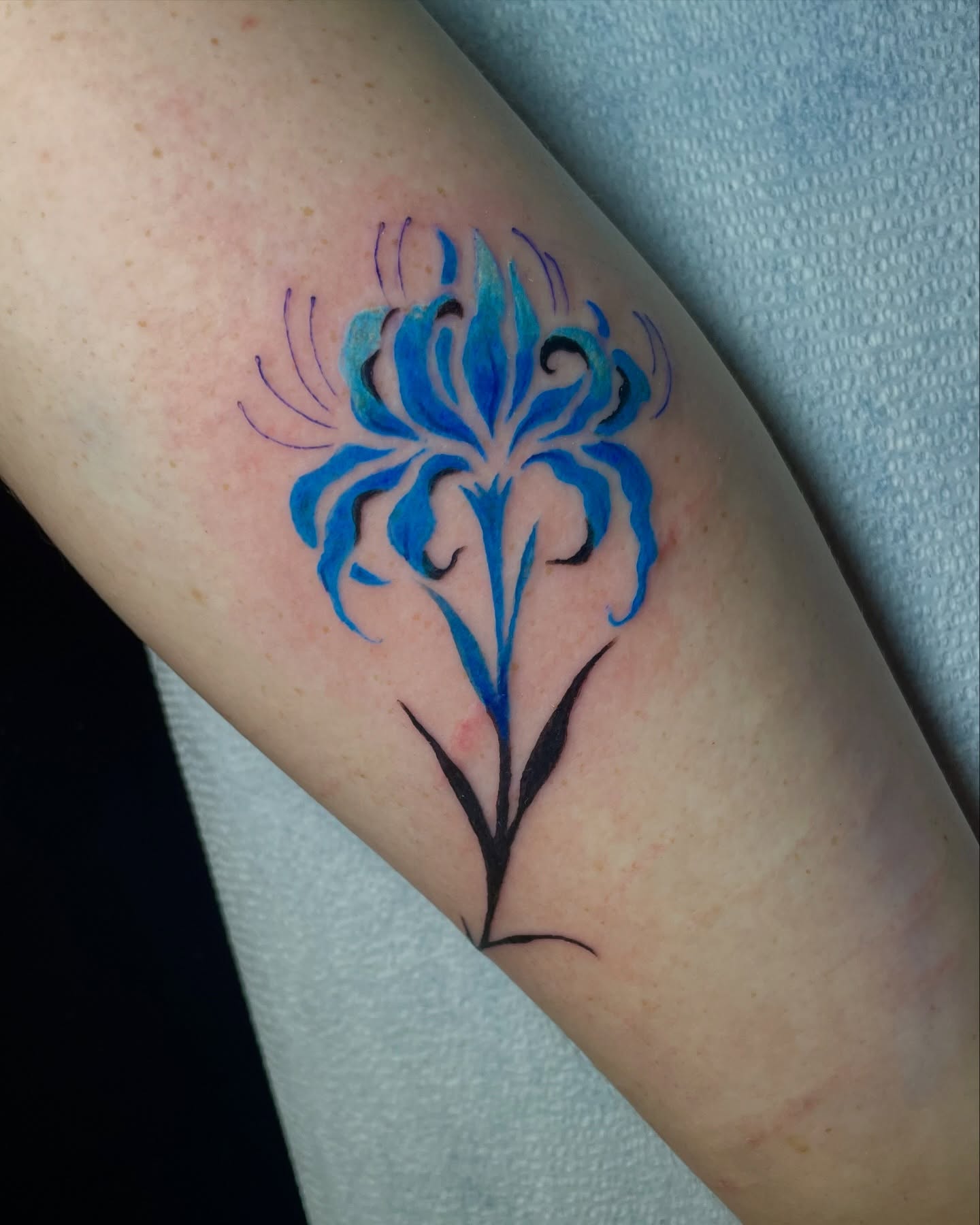 Tattoo by Aida Burgos 🤍🖤🤍 Tattooer, Missoula, Montana