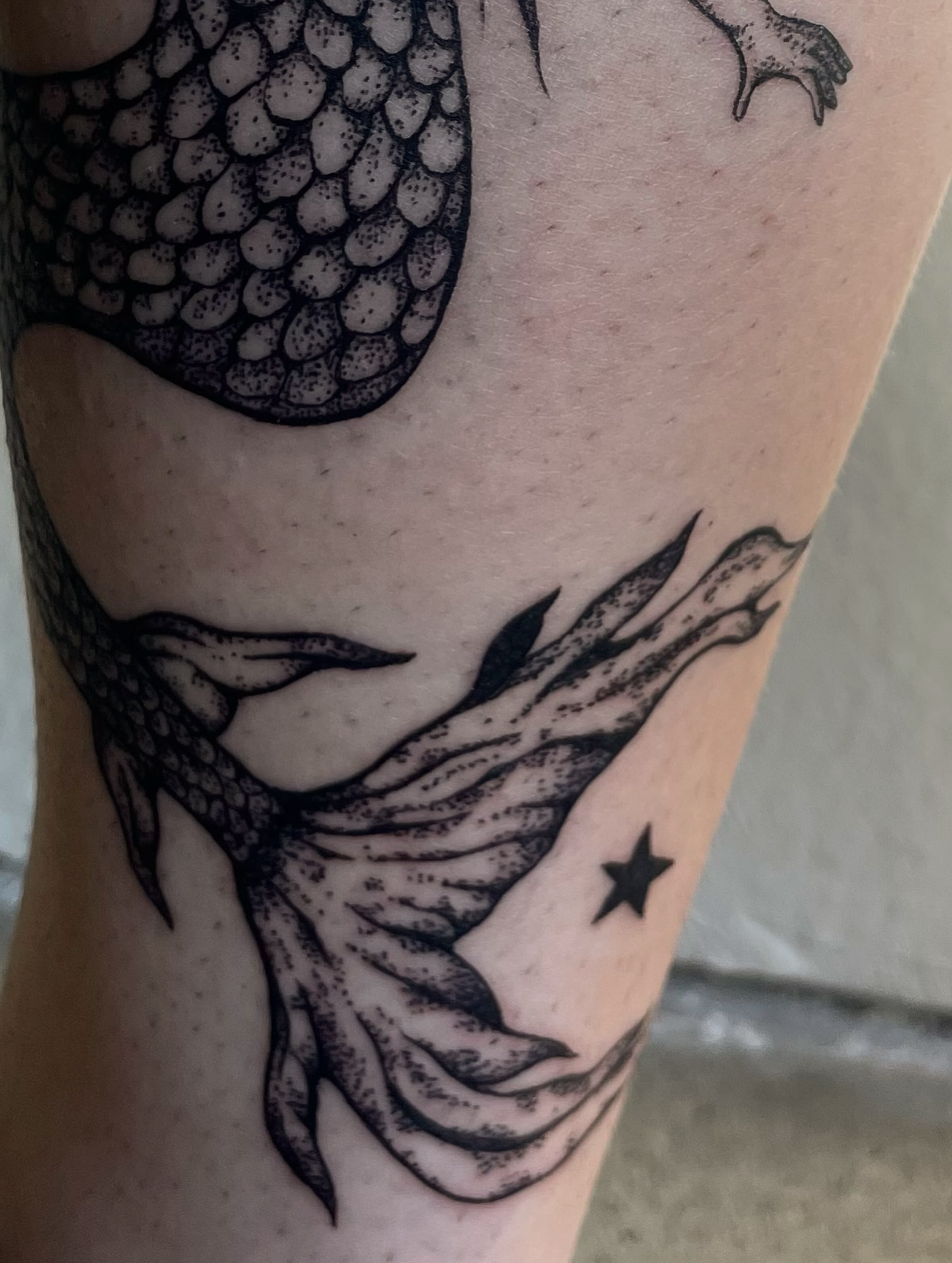 Mermaid tail dotwork tattoo on the leg by sara ‧⭑𓆝 𓆟 𓆞 𓆝 𓆟 ⭑‧₊