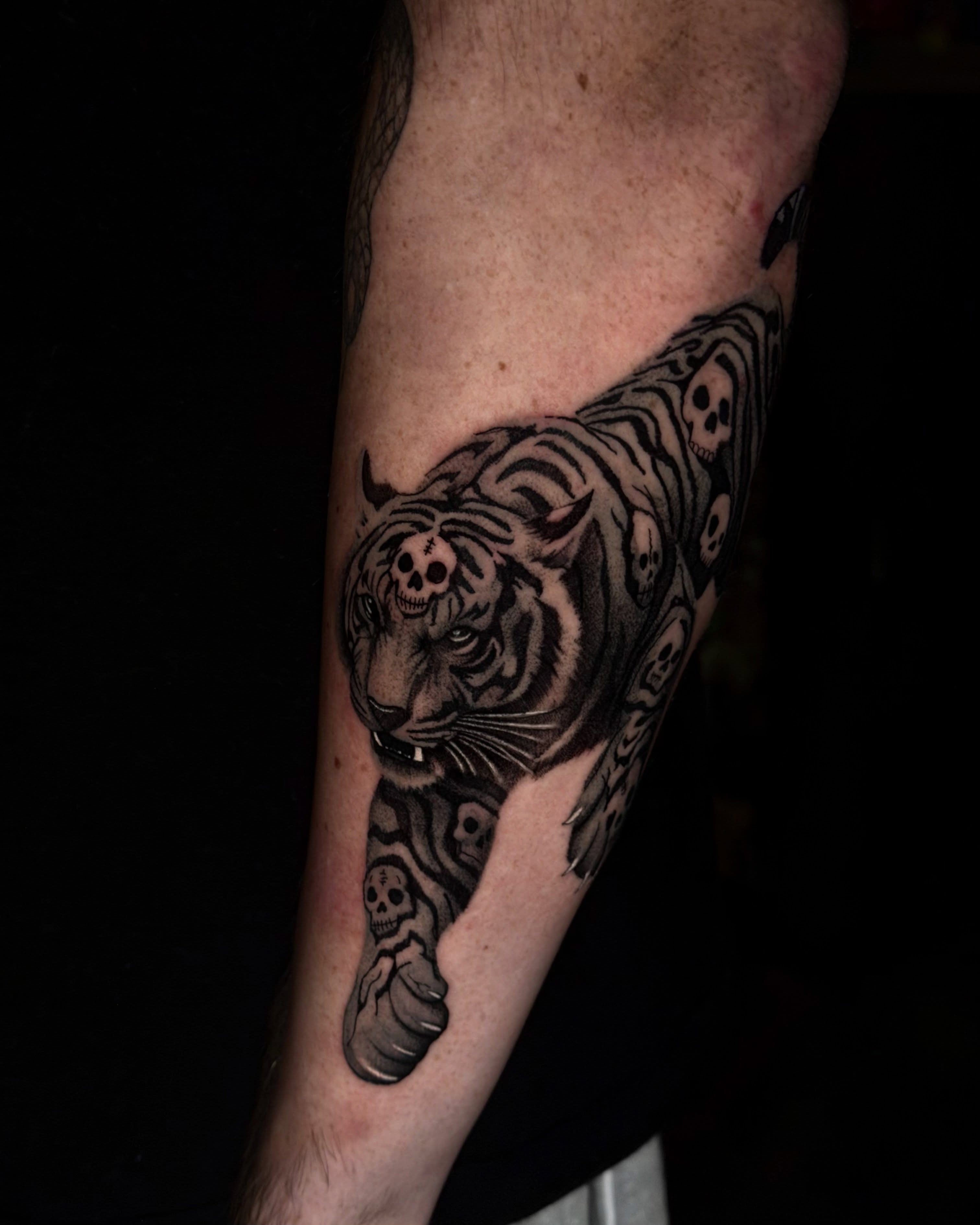 Tiger black and grey tattoo on the forearm by Giovanni Rodriguez, Eastpointe, Michigan
