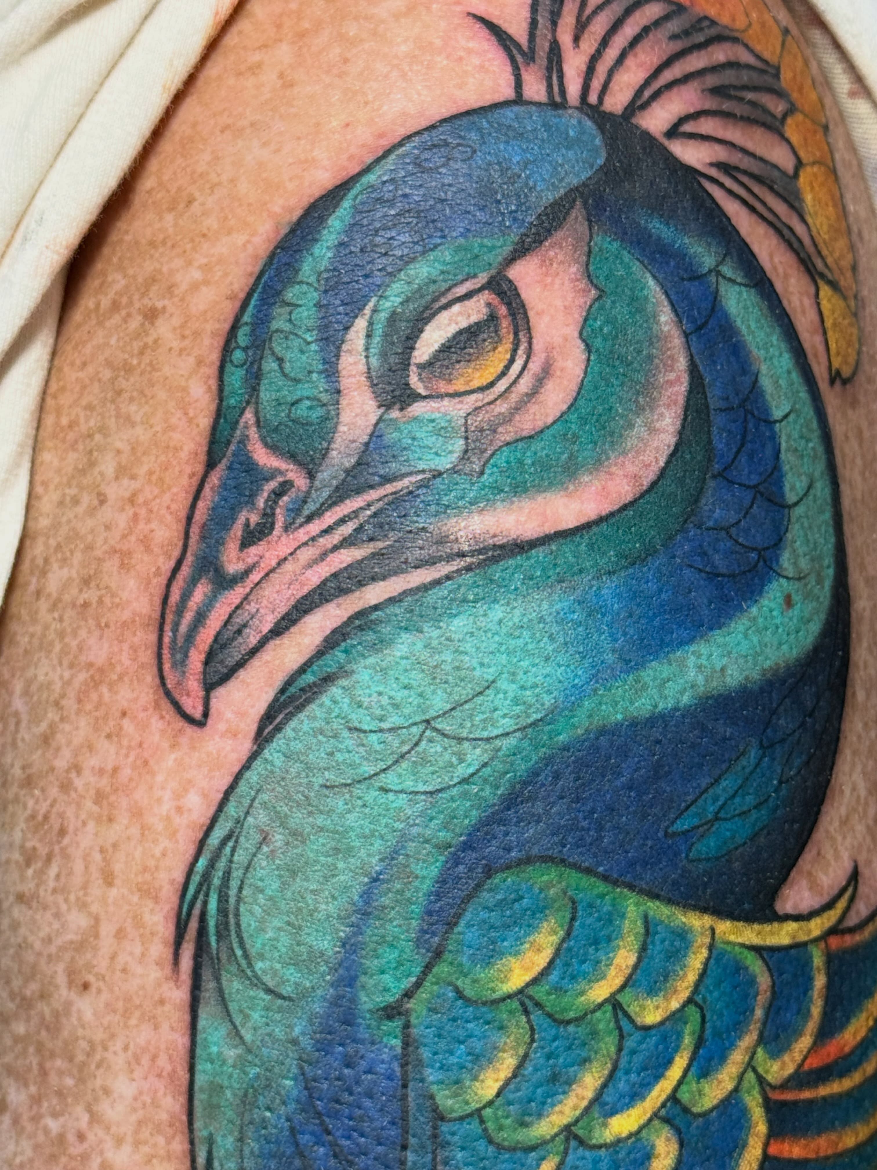 Peacock American traditional tattoo on the upper arm by Eli