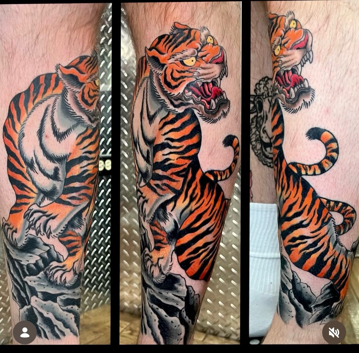 Tiger American traditional tattoo on the forearm by Kenny Buck