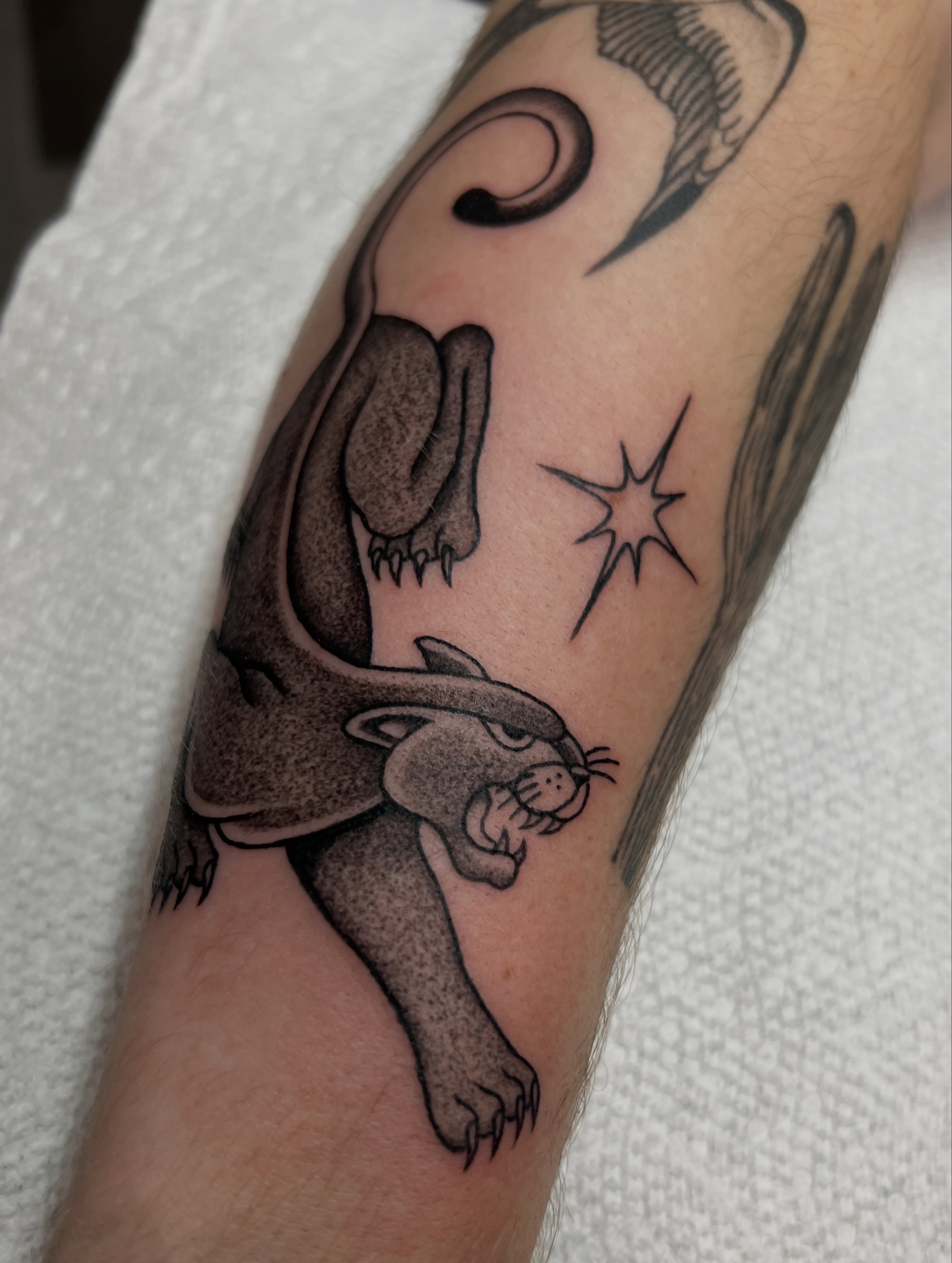 Panther and star black and grey tattoo on the forearm by @syrenbier, San Francisco, California