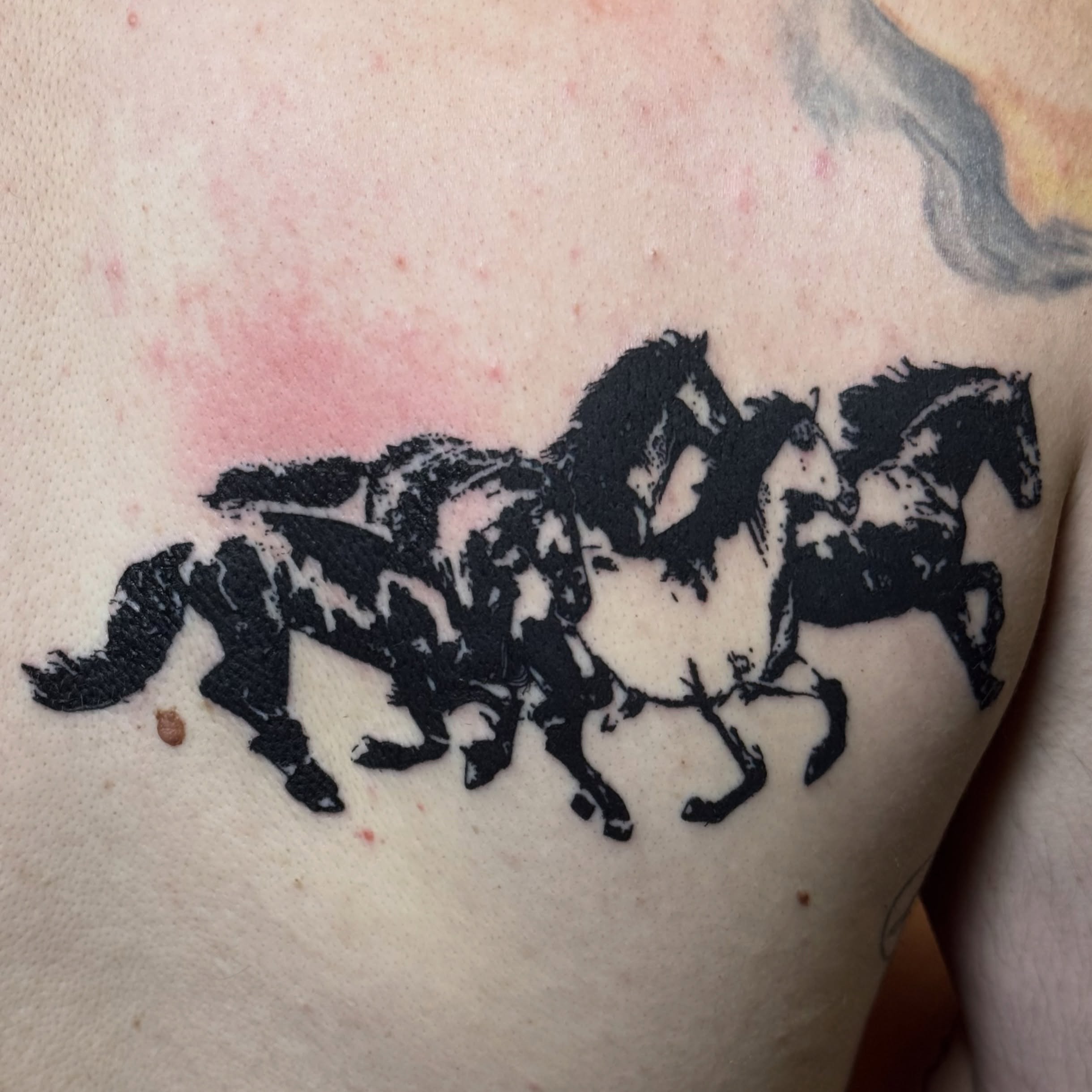 Horses black and grey tattoo on the shoulder by 🌸Blossom🌸