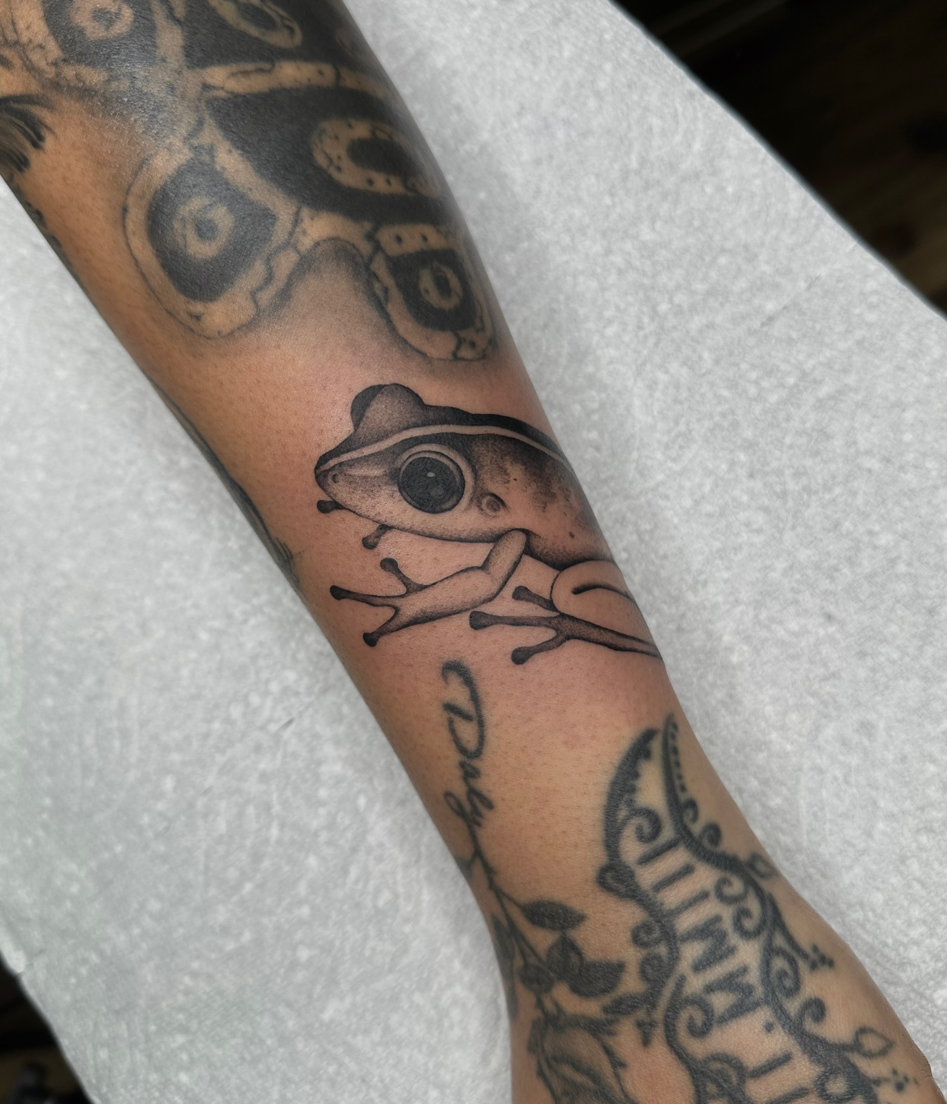 Frog realism tattoo on the forearm by Aleksandra