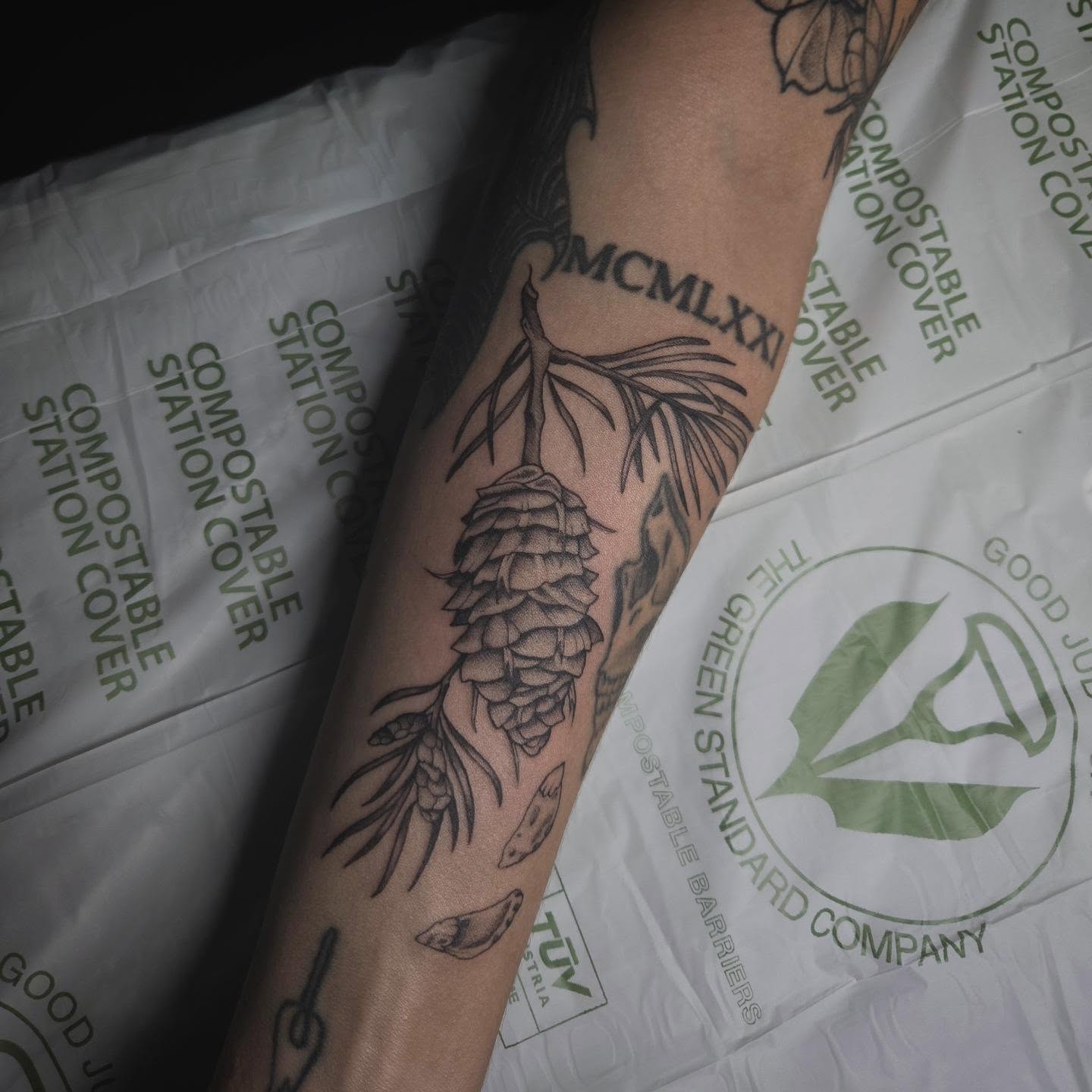 Pine cone and branch black and grey tattoo on the forearm by Alexandra Colella ✨️
