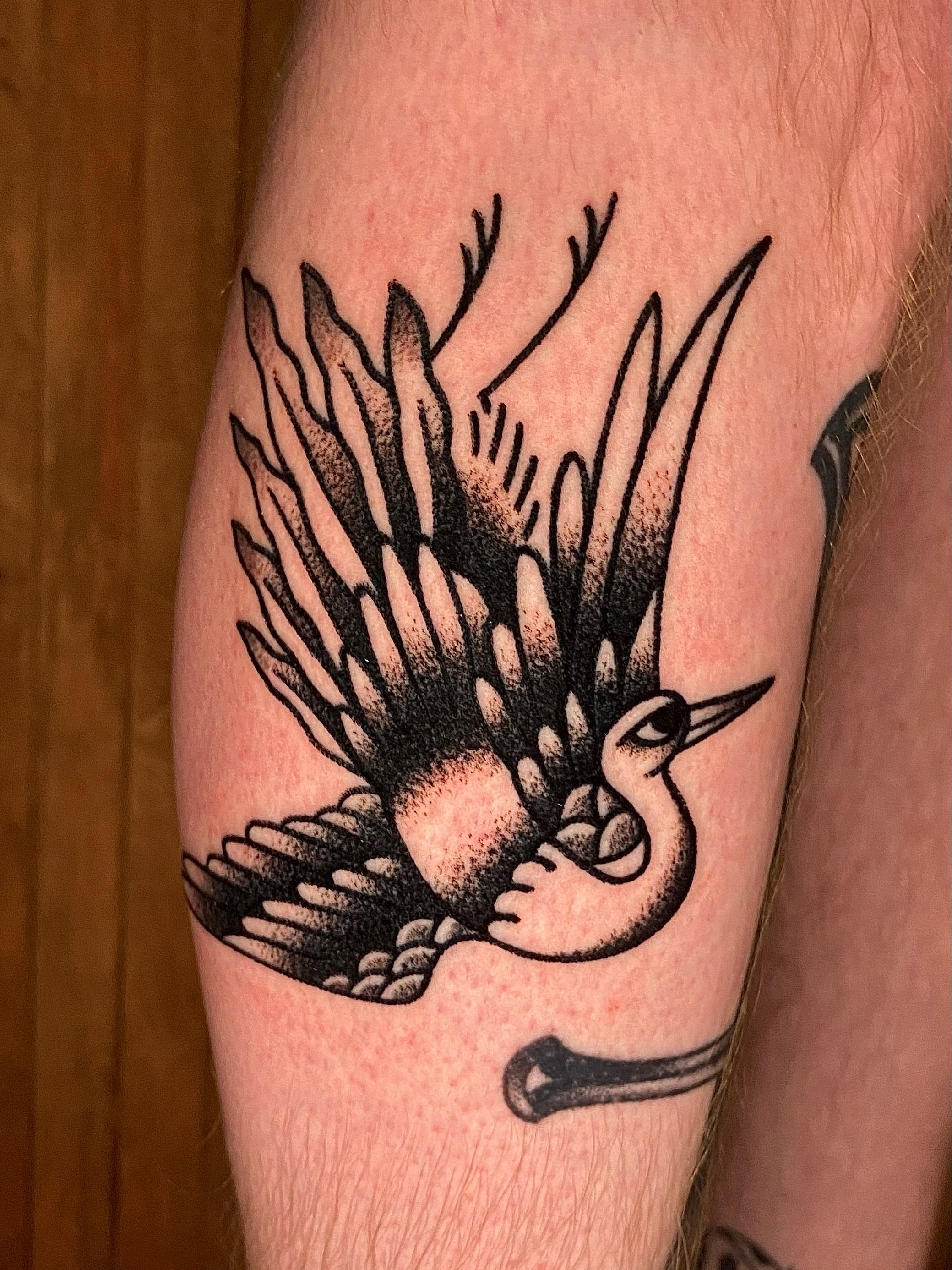 Bird dotwork tattoo on the forearm by Daniel Diego