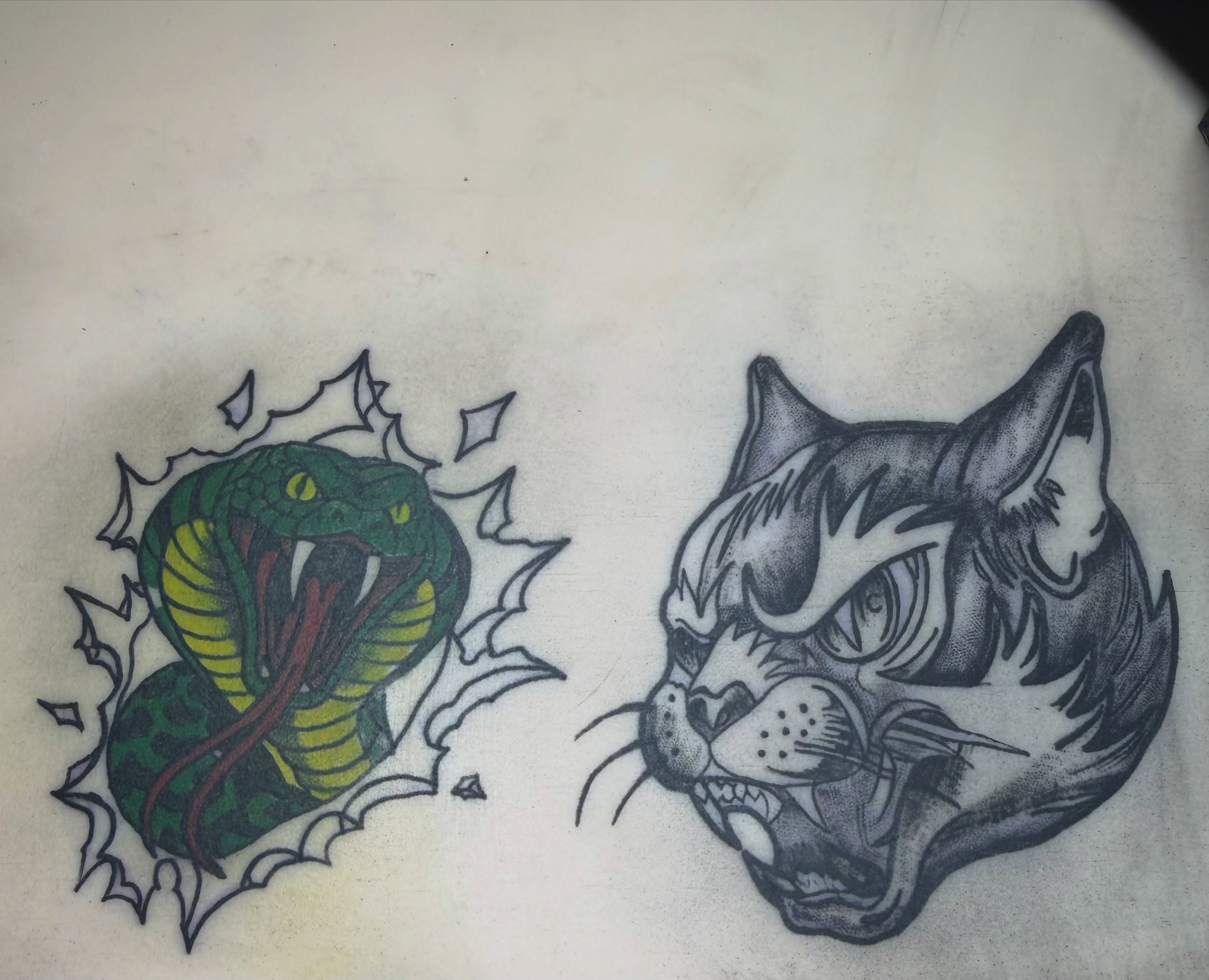 Snake and cat American traditional tattoo on the torso by Addison Bruce