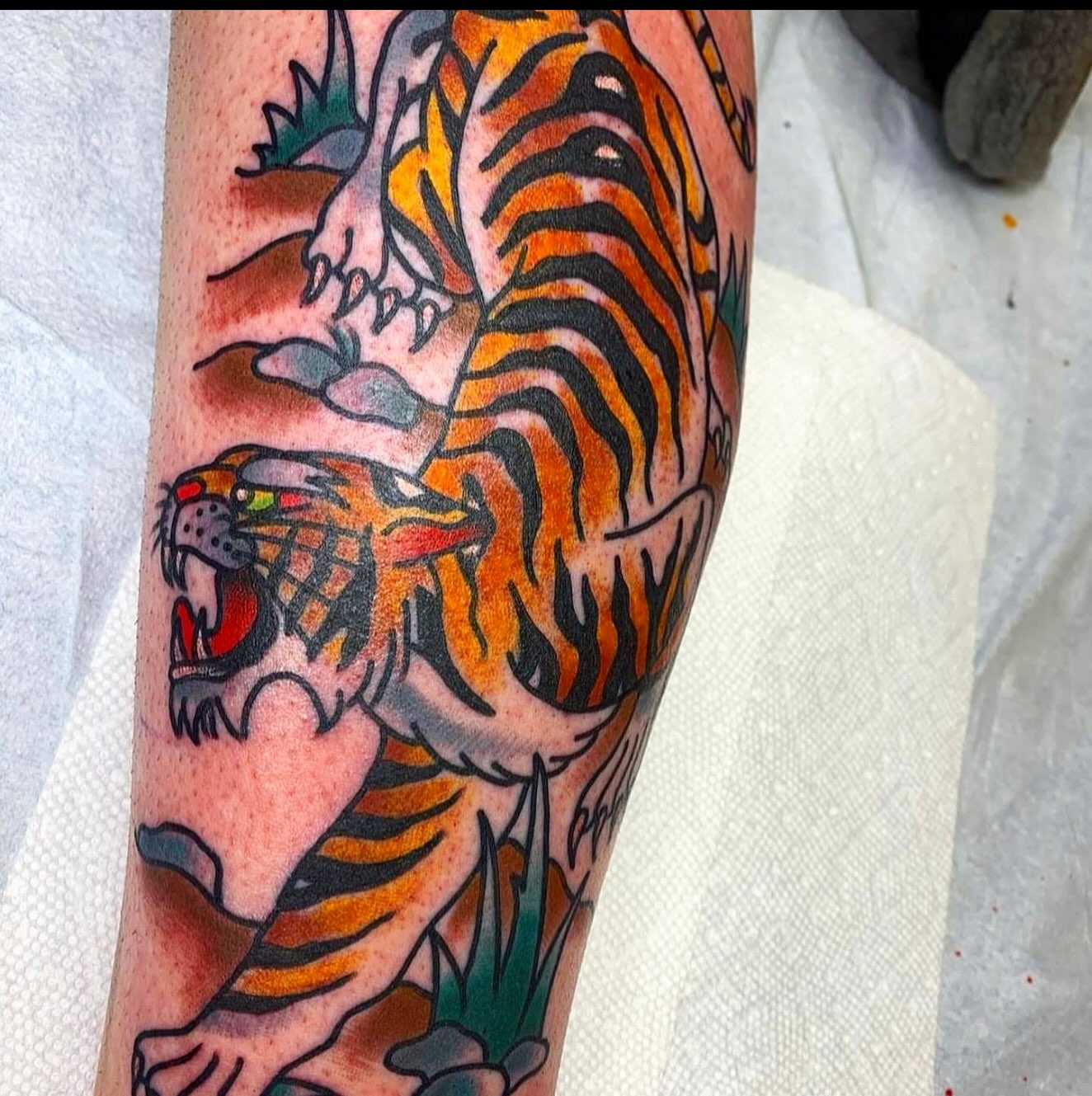 Tiger American traditional tattoo on the forearm by Arron Albaugh