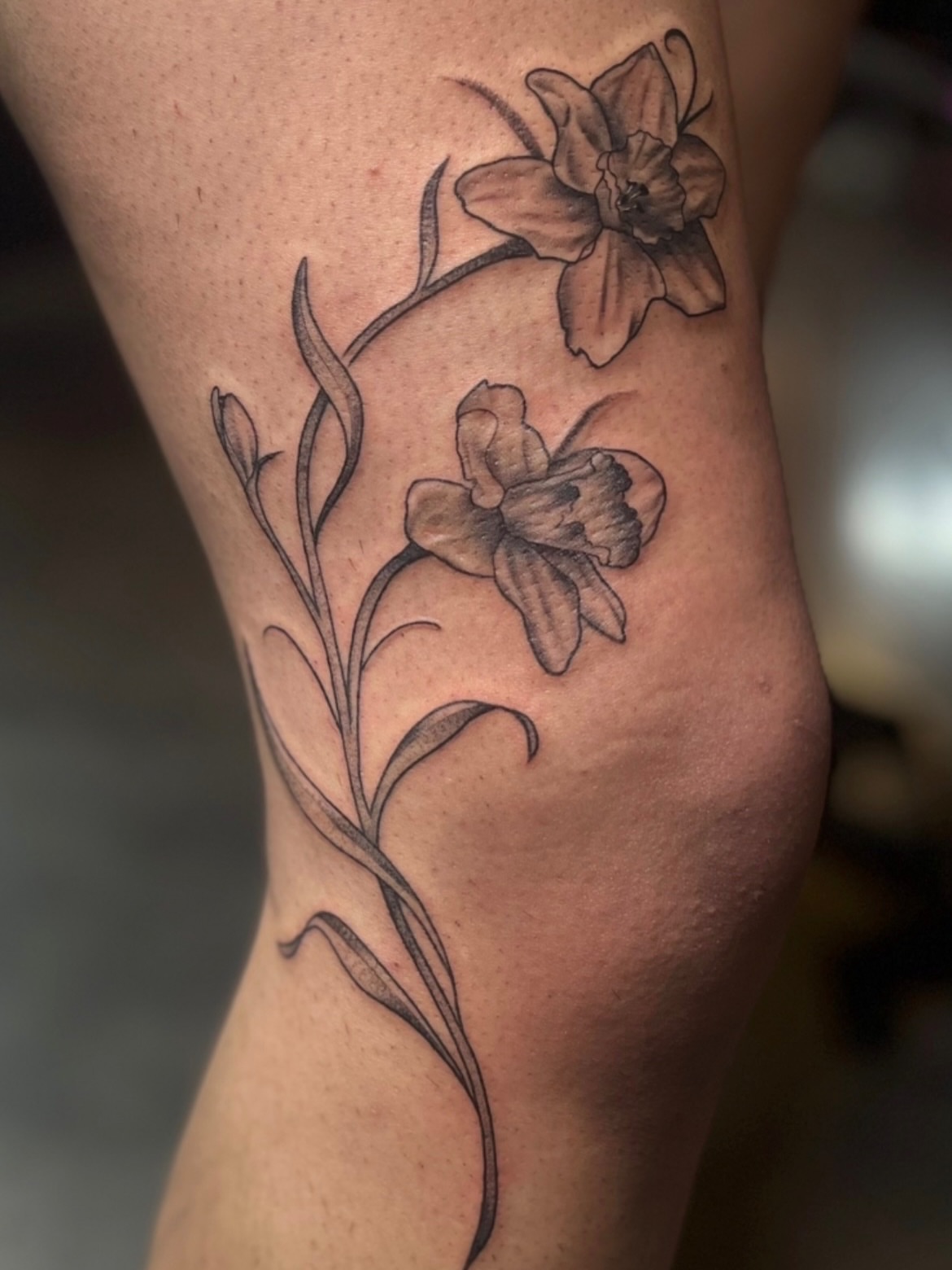 Daffodils black and grey tattoo on the forearm by Lexi Ross