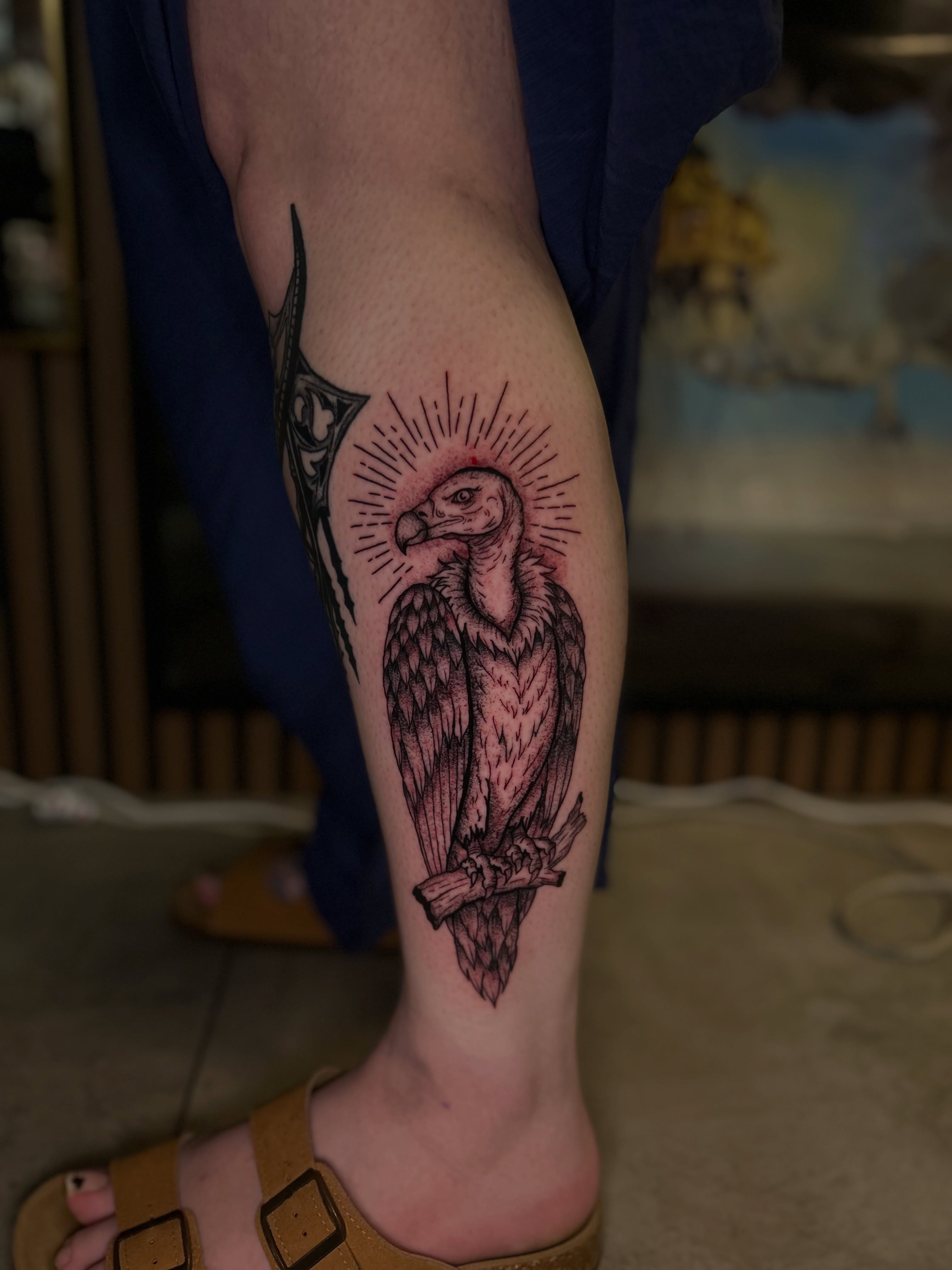 Vulture black and grey tattoo on the forearm by Torrey, Austin, Texas