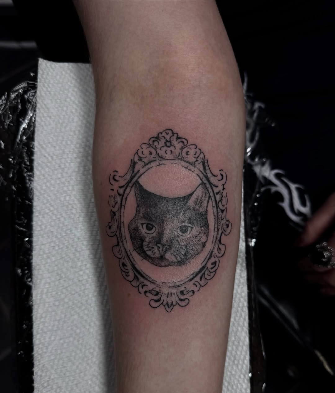 Cat in mirror realism tattoo on the forearm by olivia reed