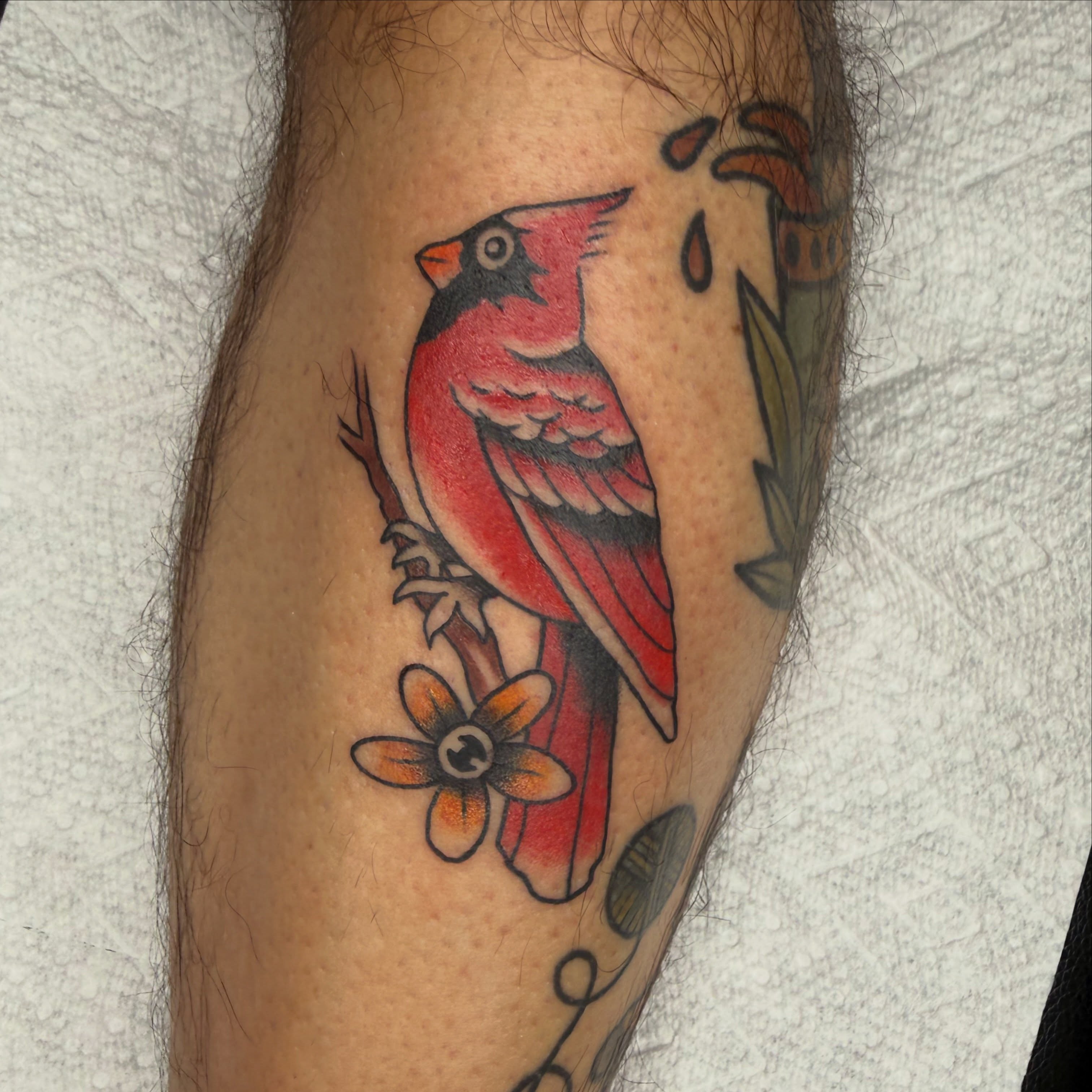 Cardinal bird American traditional tattoo on the forearm by @chrisskon, Carpentersville, Illinois