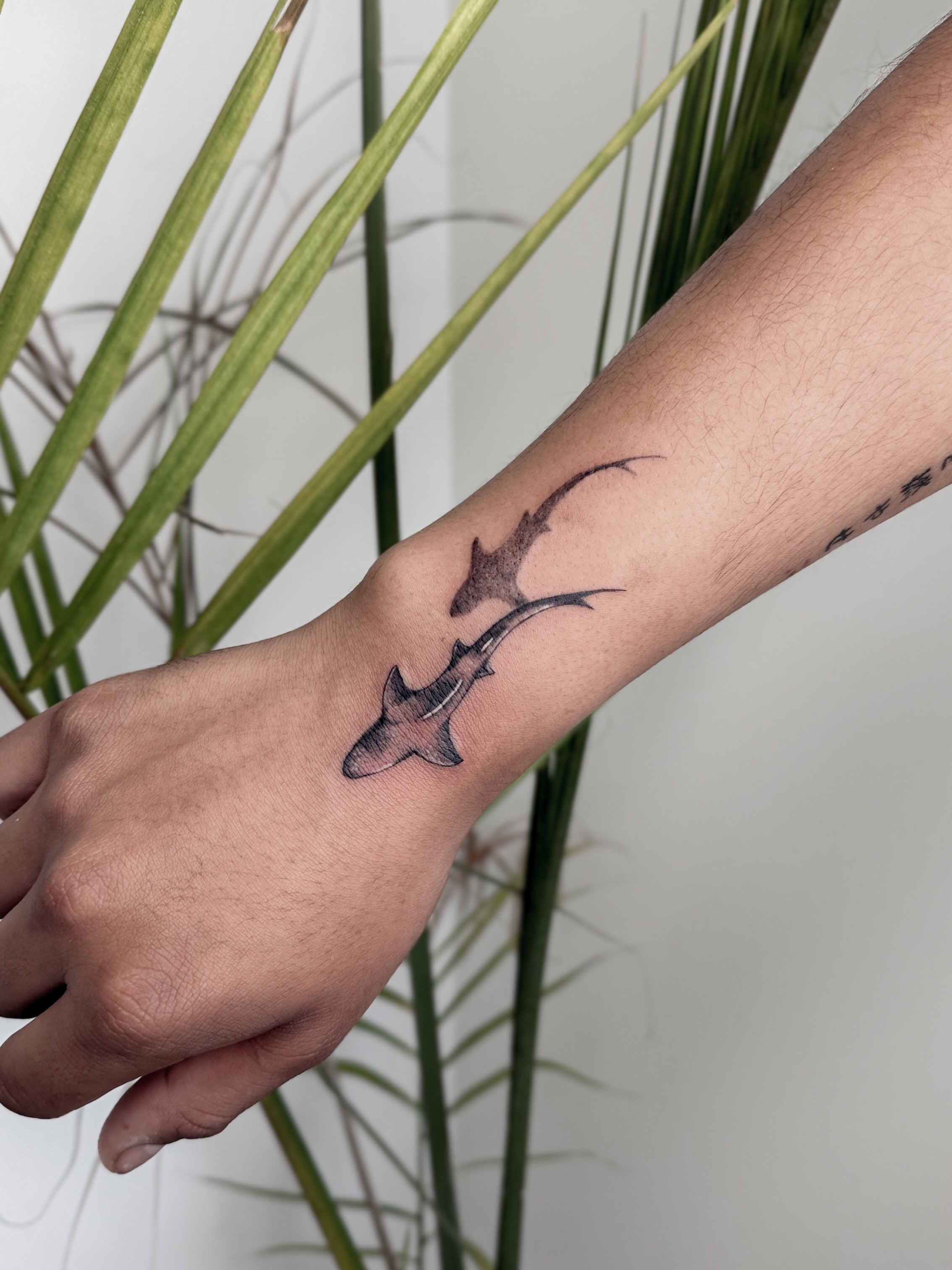Shark realism tattoo on the forearm by Tatuajes Denver
