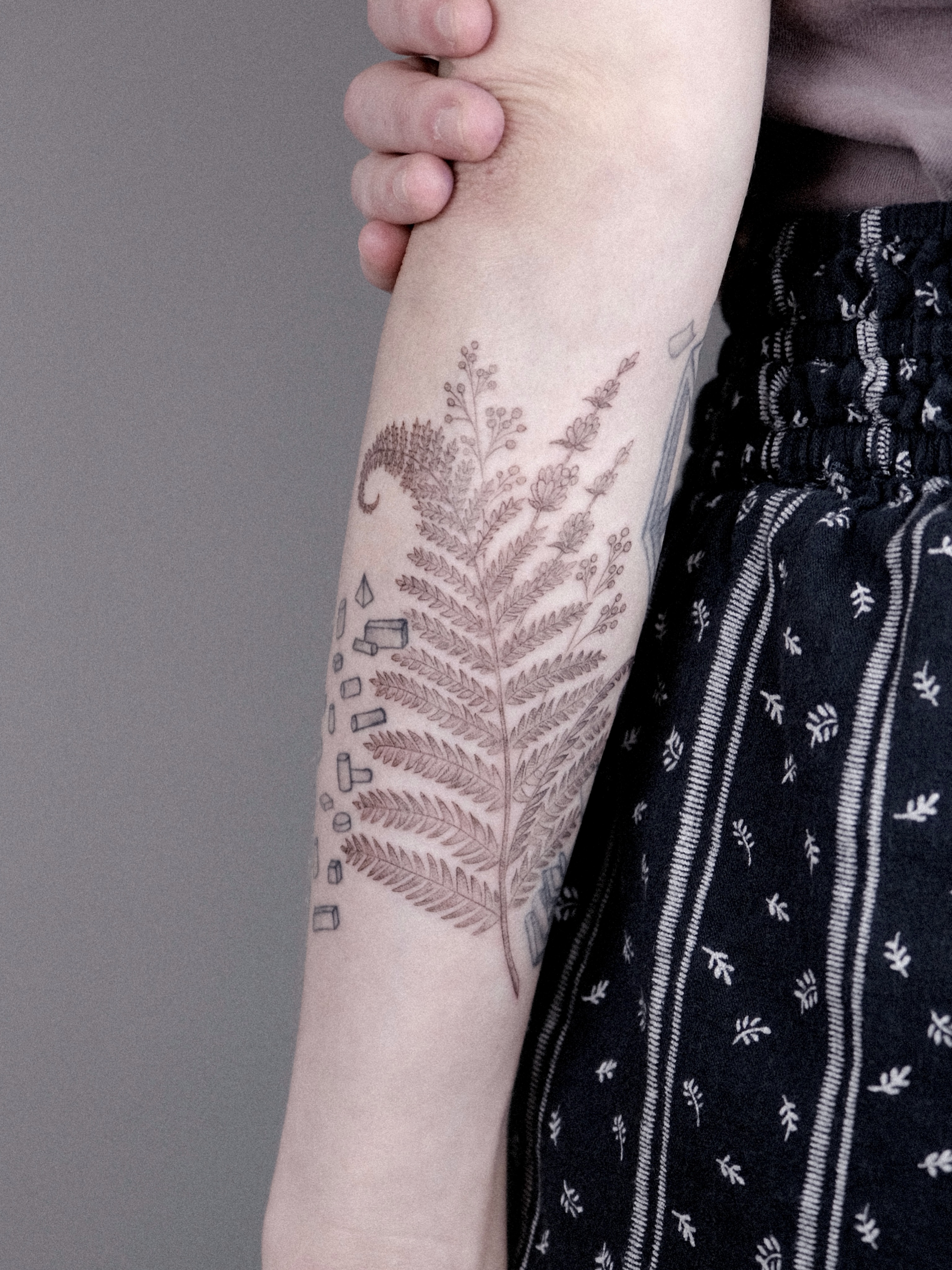 Fern dotwork tattoo on the forearm by Anna