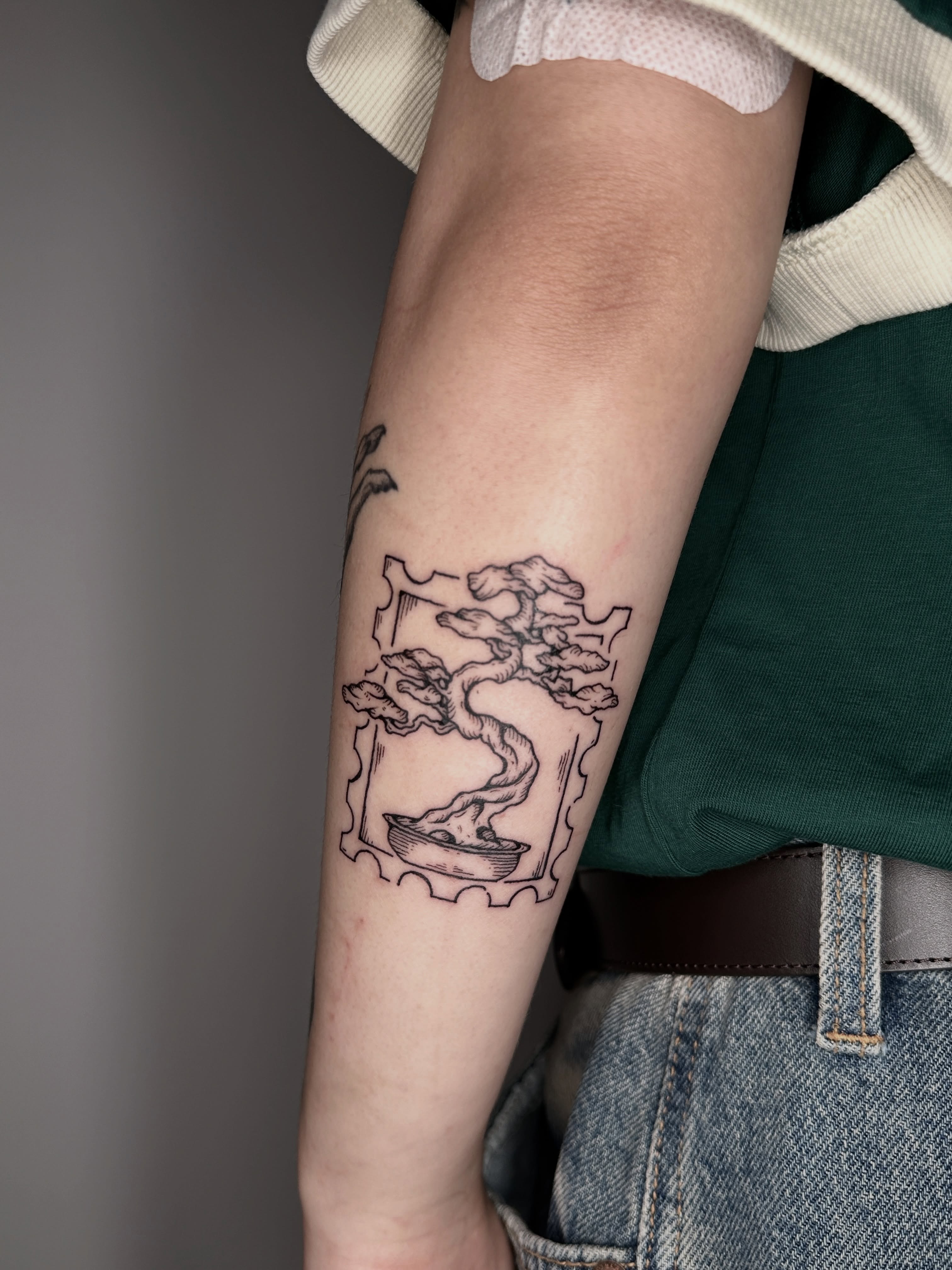 Bonsai tree black and grey tattoo on the forearm by Zecember
