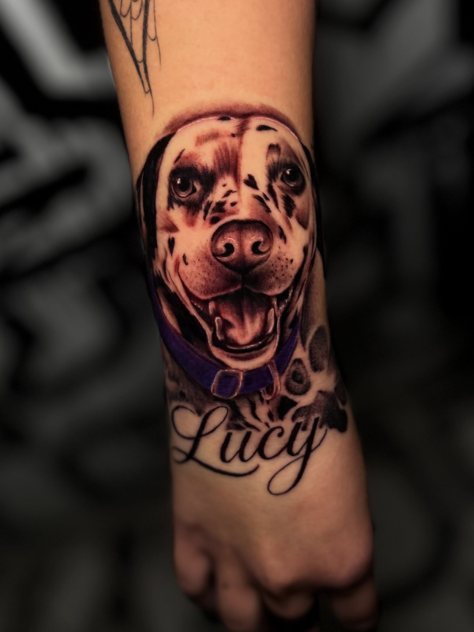 Dog portrait realism tattoo on the forearm by Lee