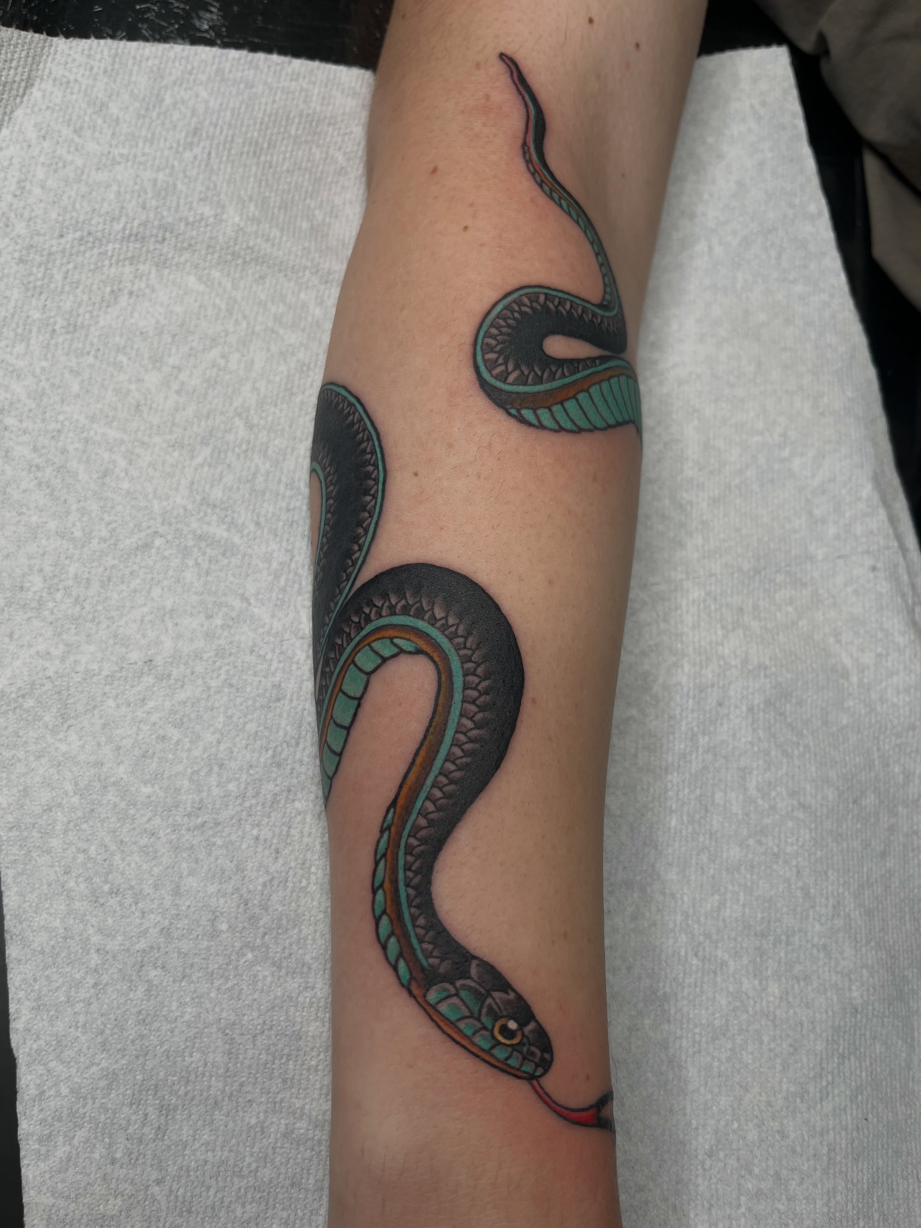 Snake new school tattoo on the forearm by Blake Brand