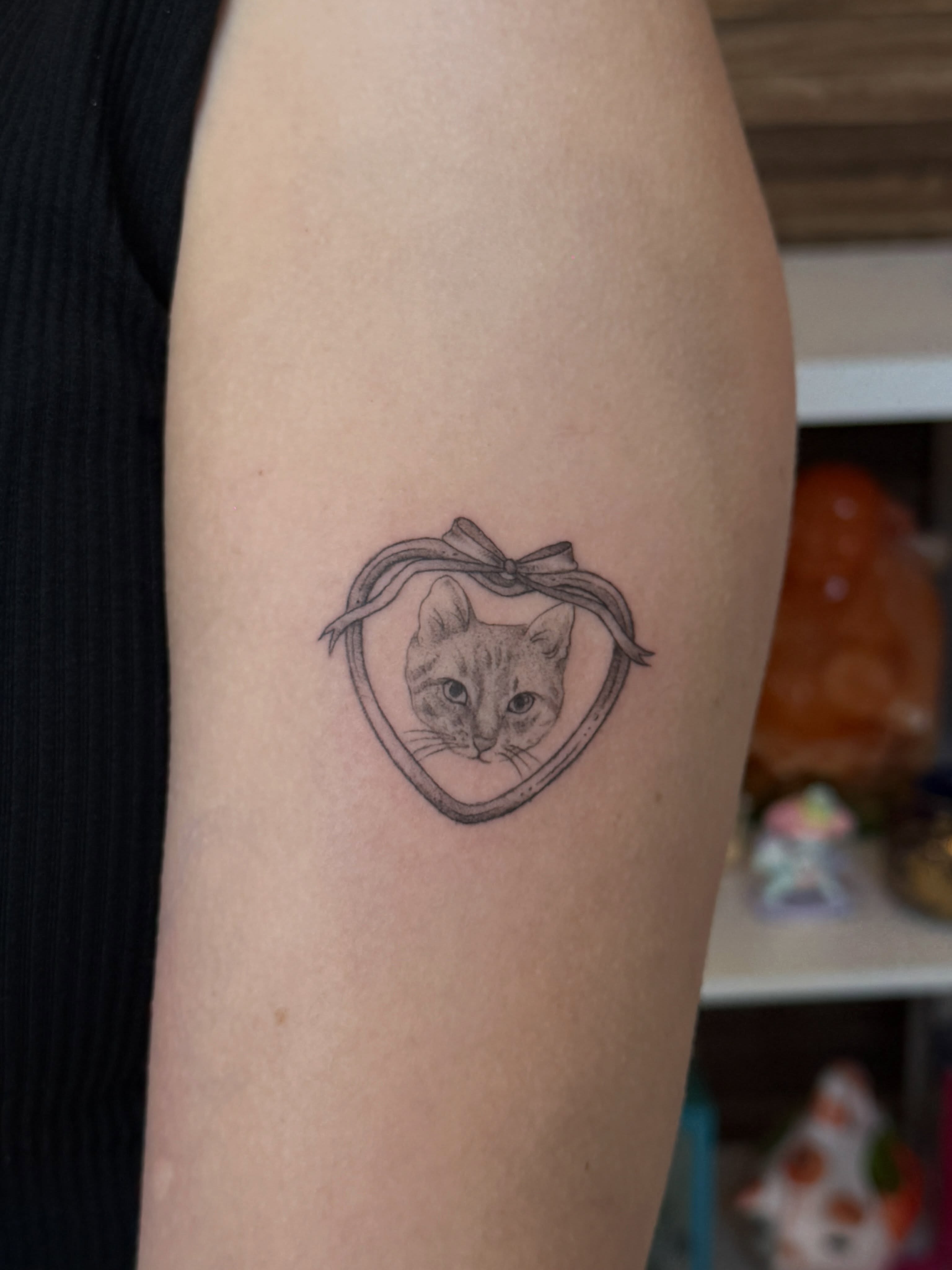 Cat realism tattoo on the forearm by Rachel ˚⊱🪷⊰˚ 芷若, Des Moines, Iowa