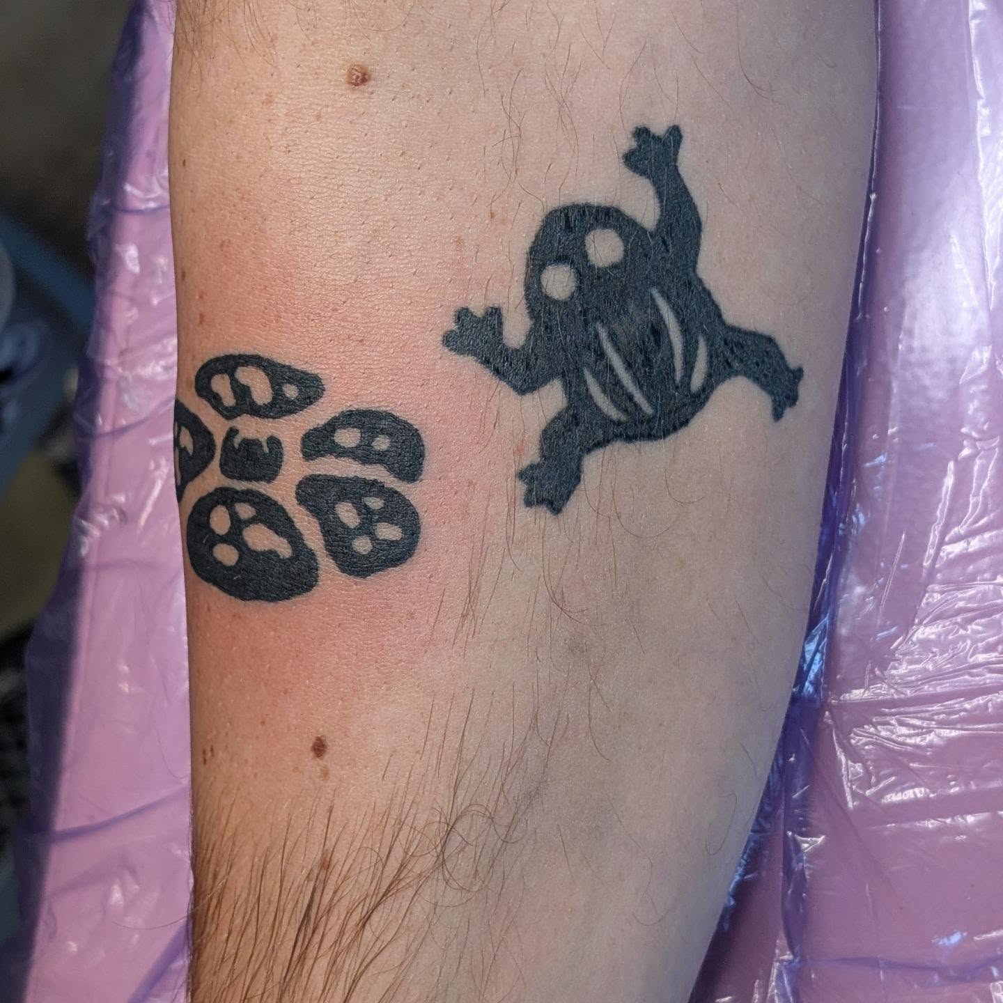 Frog and paw prints dotwork tattoo on the forearm by norn noszka