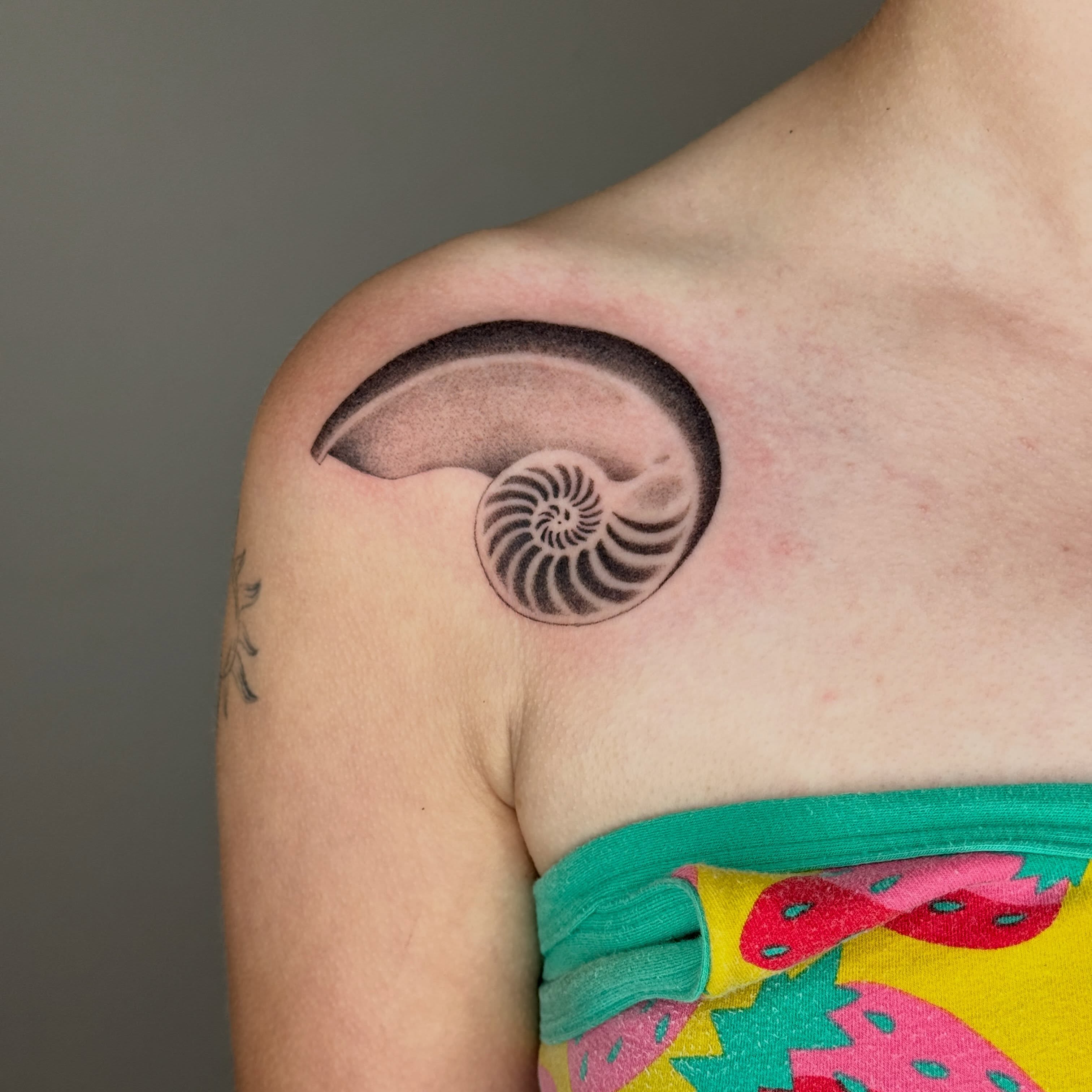 Nautilus shell black and grey tattoo on the shoulder by Monica Reynolds