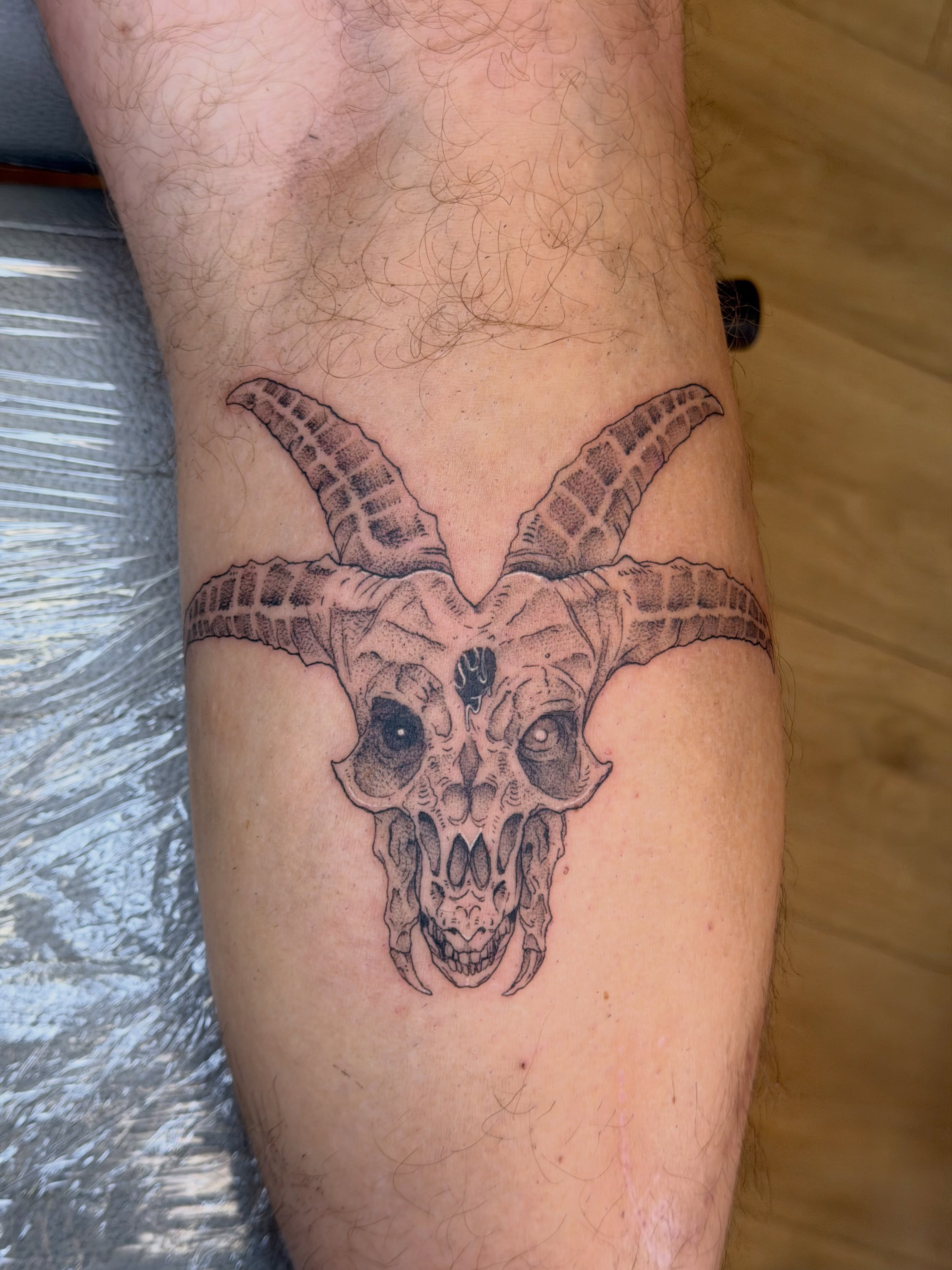 Goat skull dotwork tattoo on the forearm by Stvn Geyer, Urbandale, Iowa