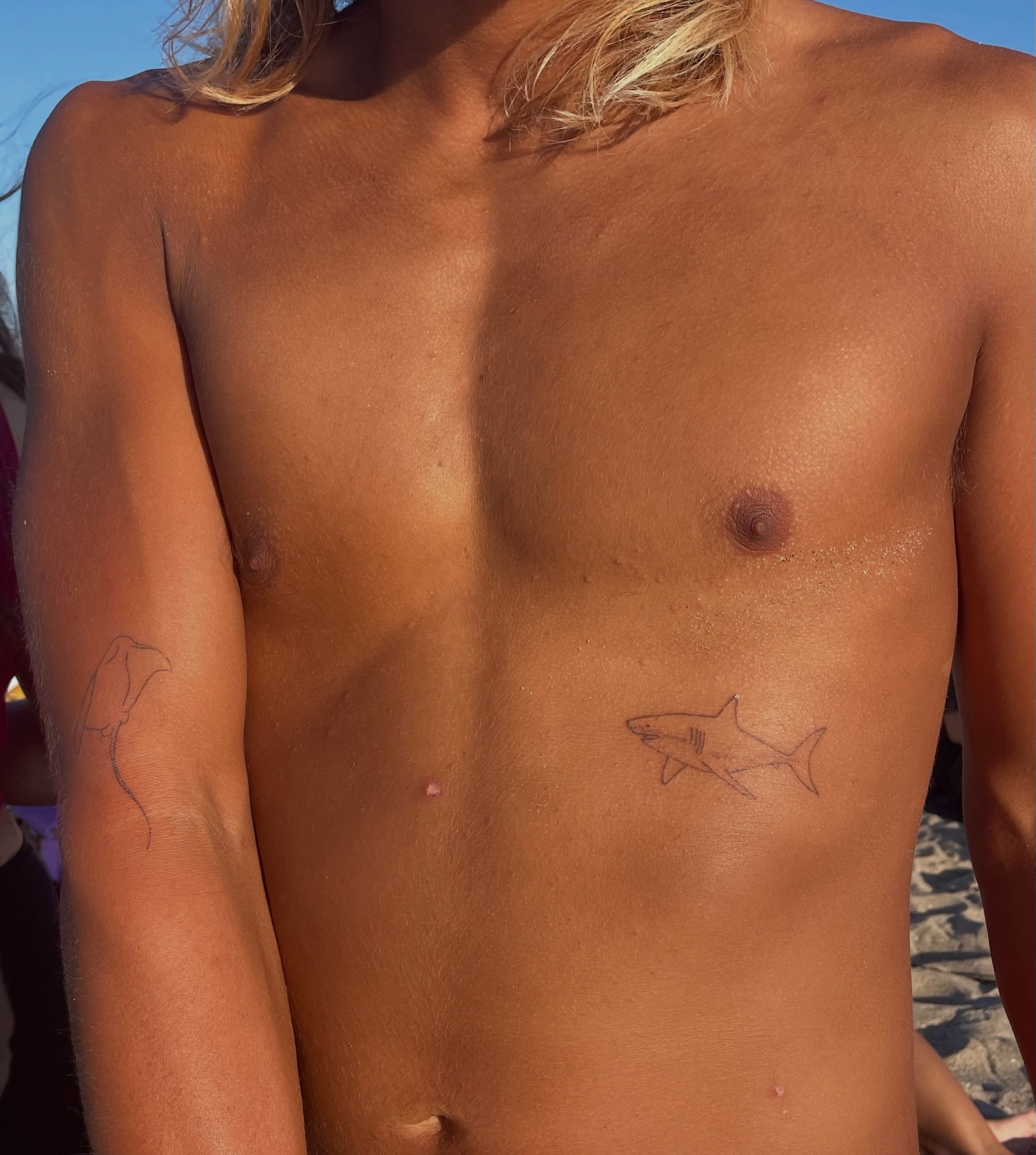 Shark black and grey tattoo on the chest by Alyssa