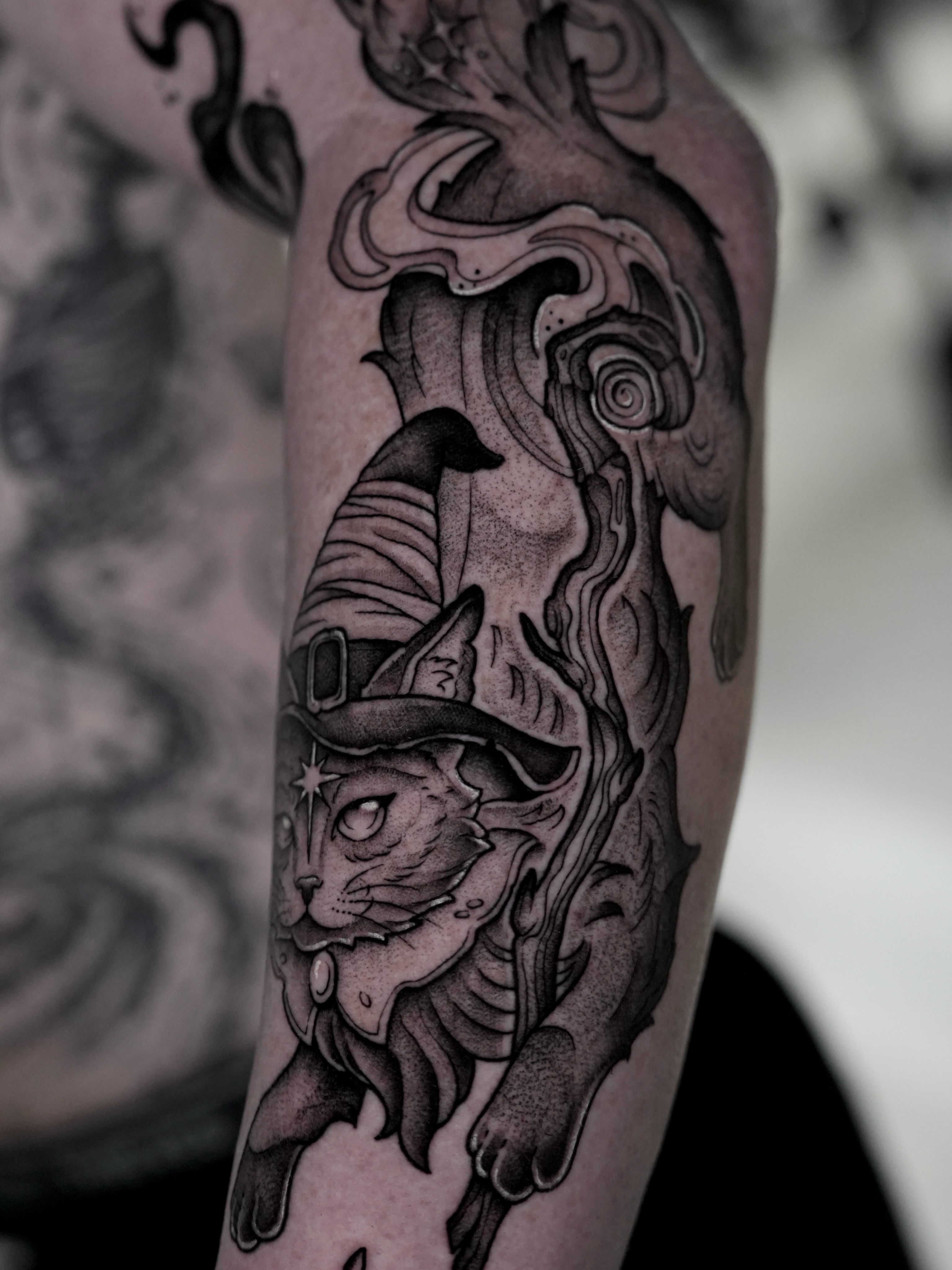 Cat with wizard hat realism tattoo on the forearm by Hannah May, La Mesa, California