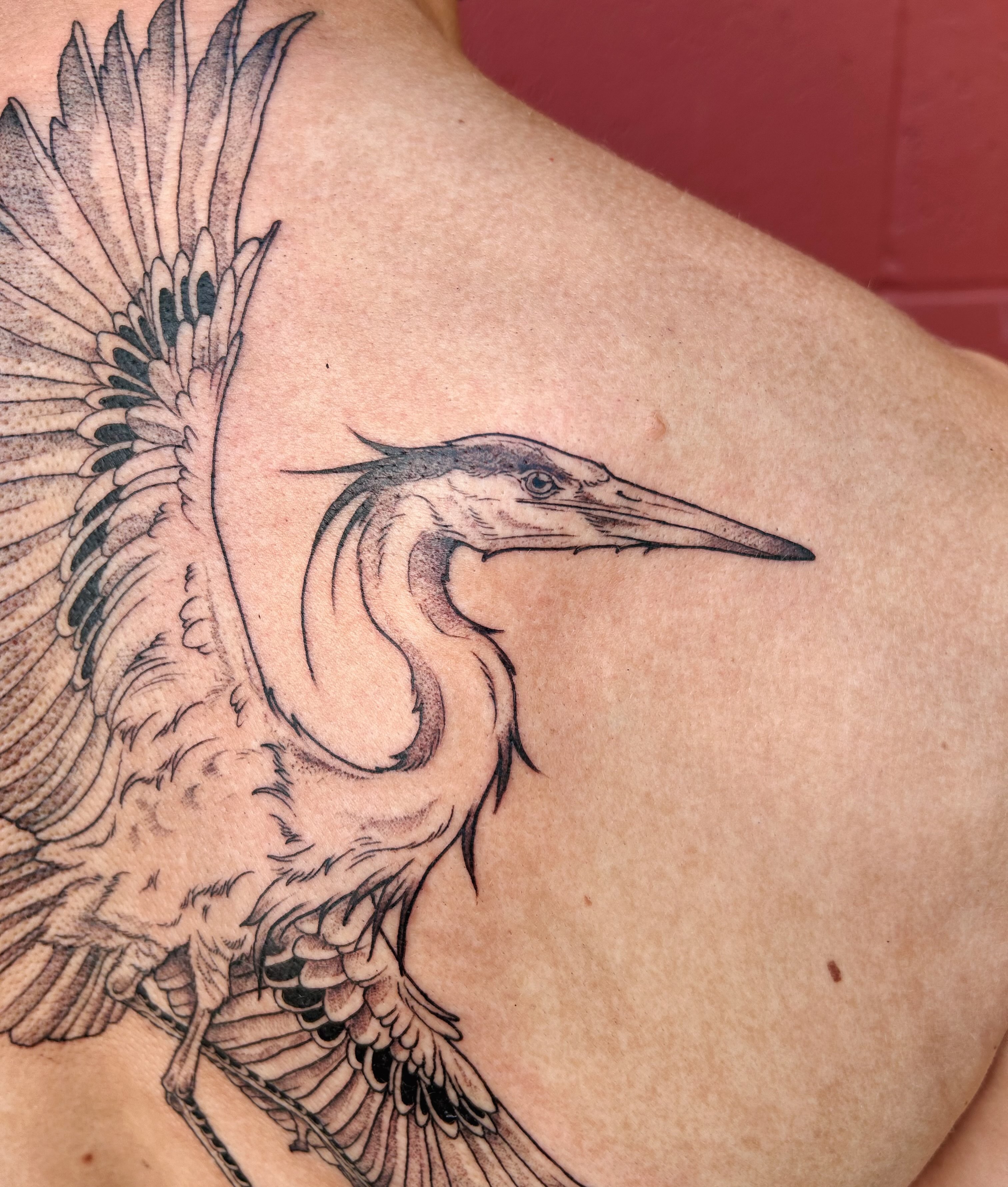 Tattoo by @littlebird_ink — black_and_grey