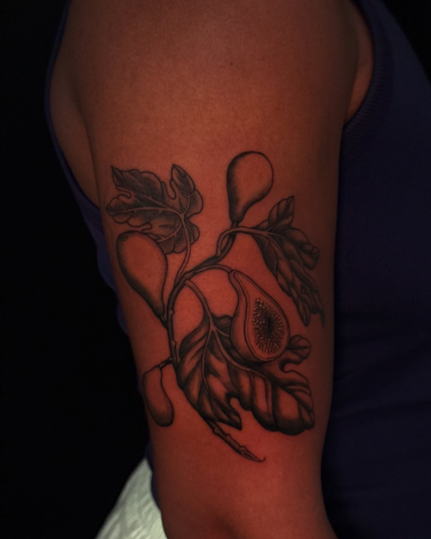 Fig black and grey tattoo on the forearm by marlena borscheid