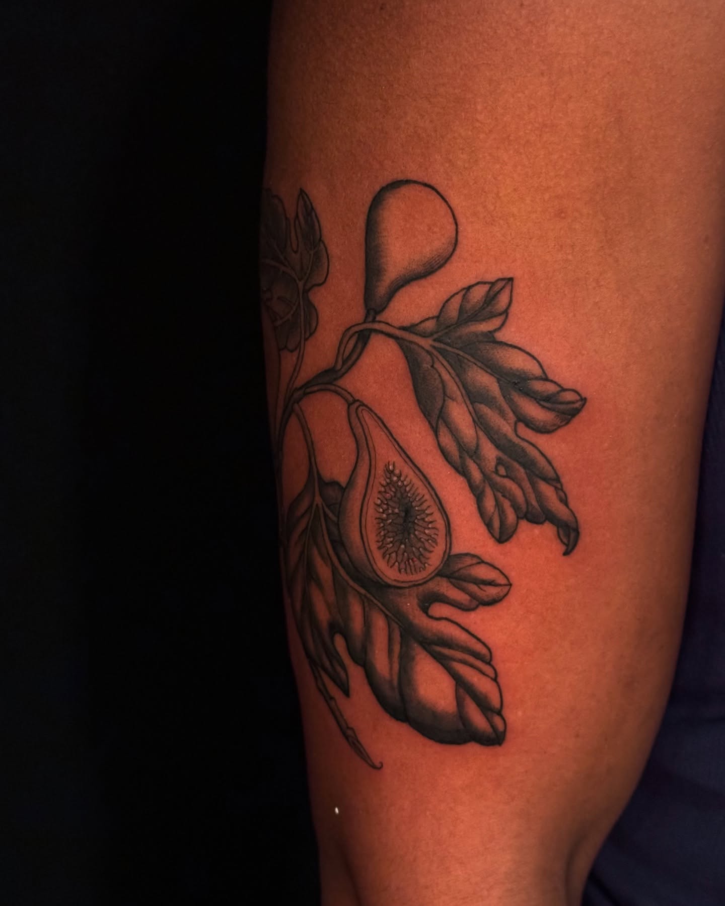 Fruit and leaves black and grey tattoo on the forearm by marlena borscheid