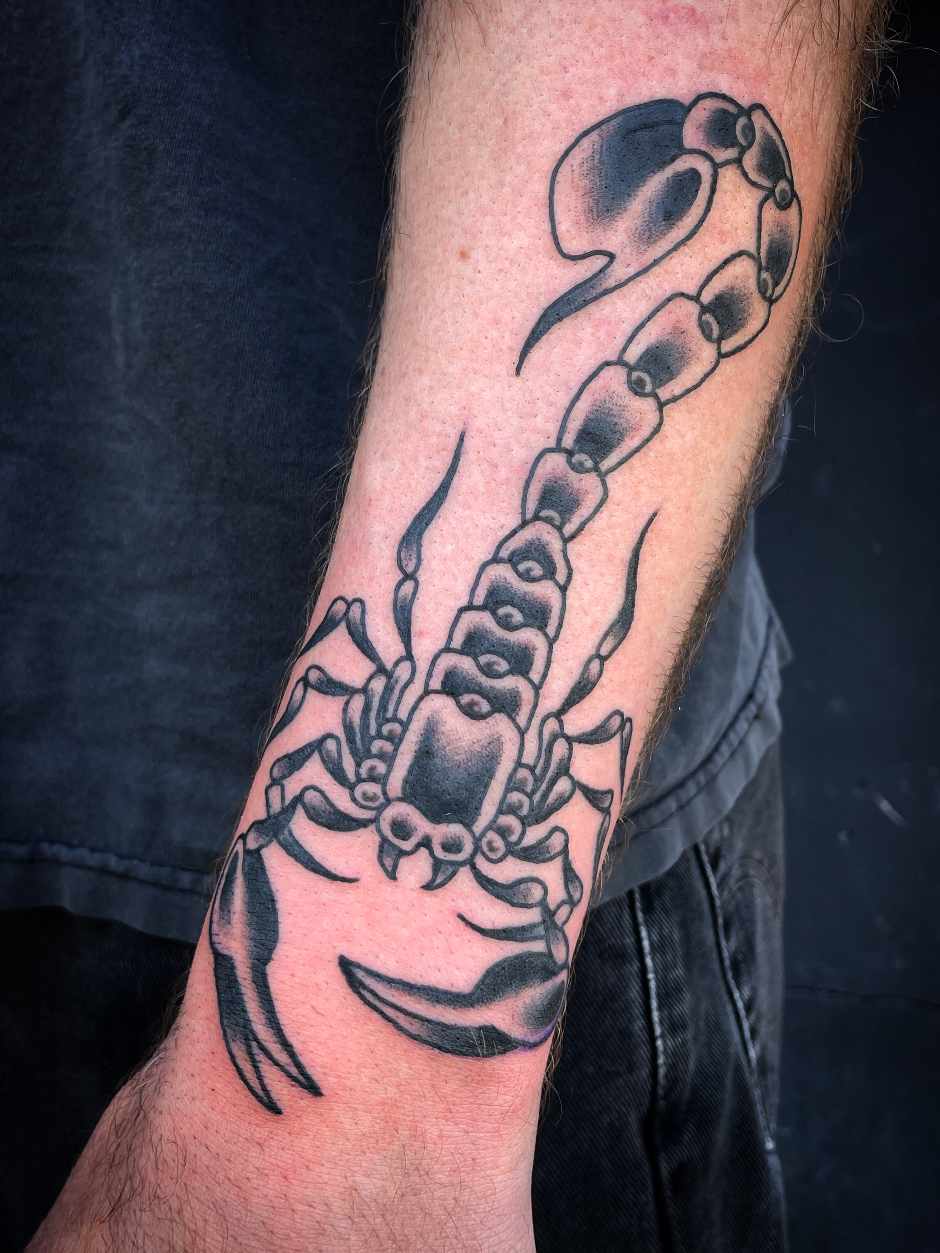 Scorpion American traditional tattoo on the forearm by Nick Wallin