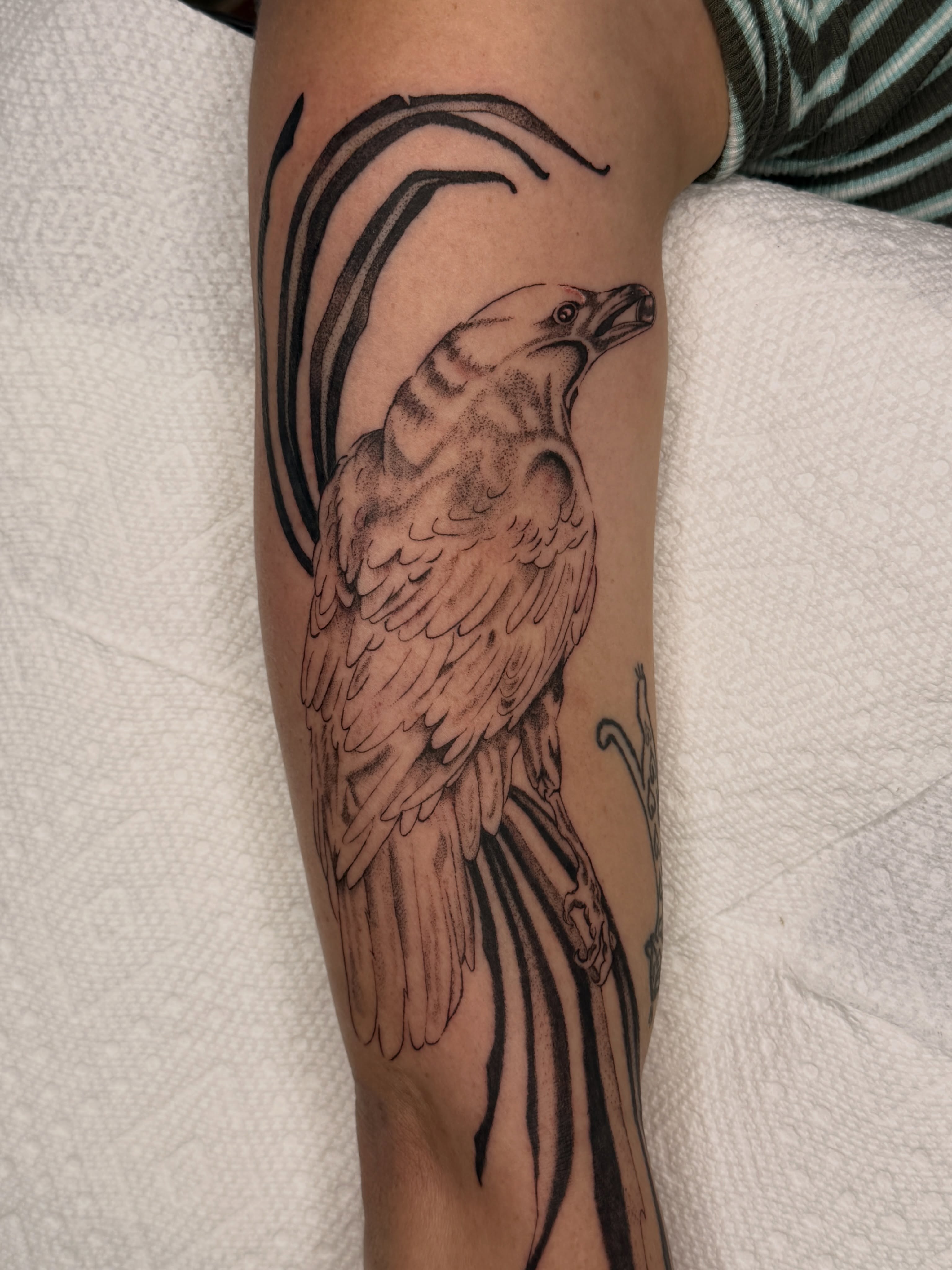Tattoo by @maisontheprofessional — black_and_grey