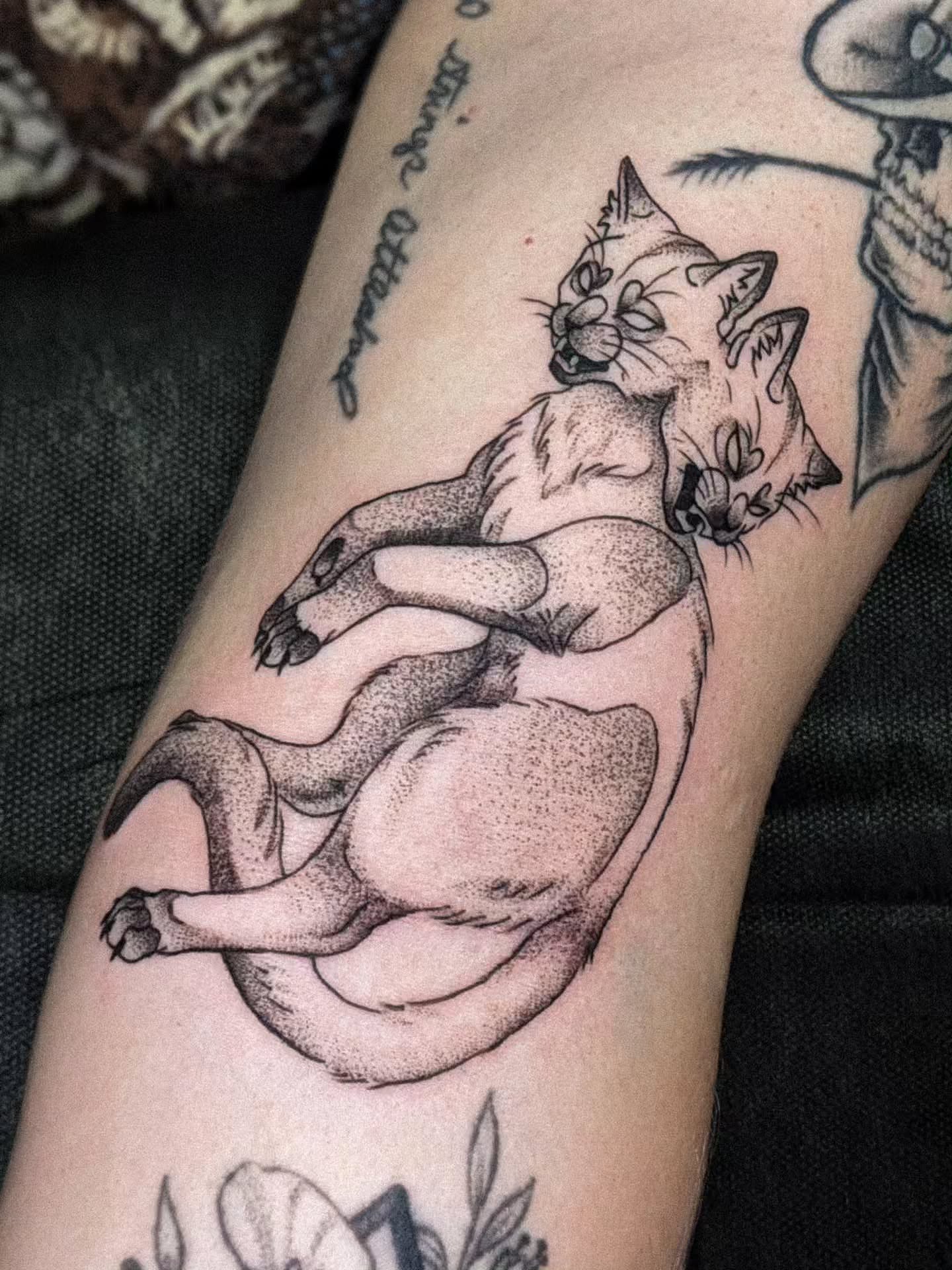 Cat dotwork tattoo on the forearm by robin ✨ portland tattoo artist