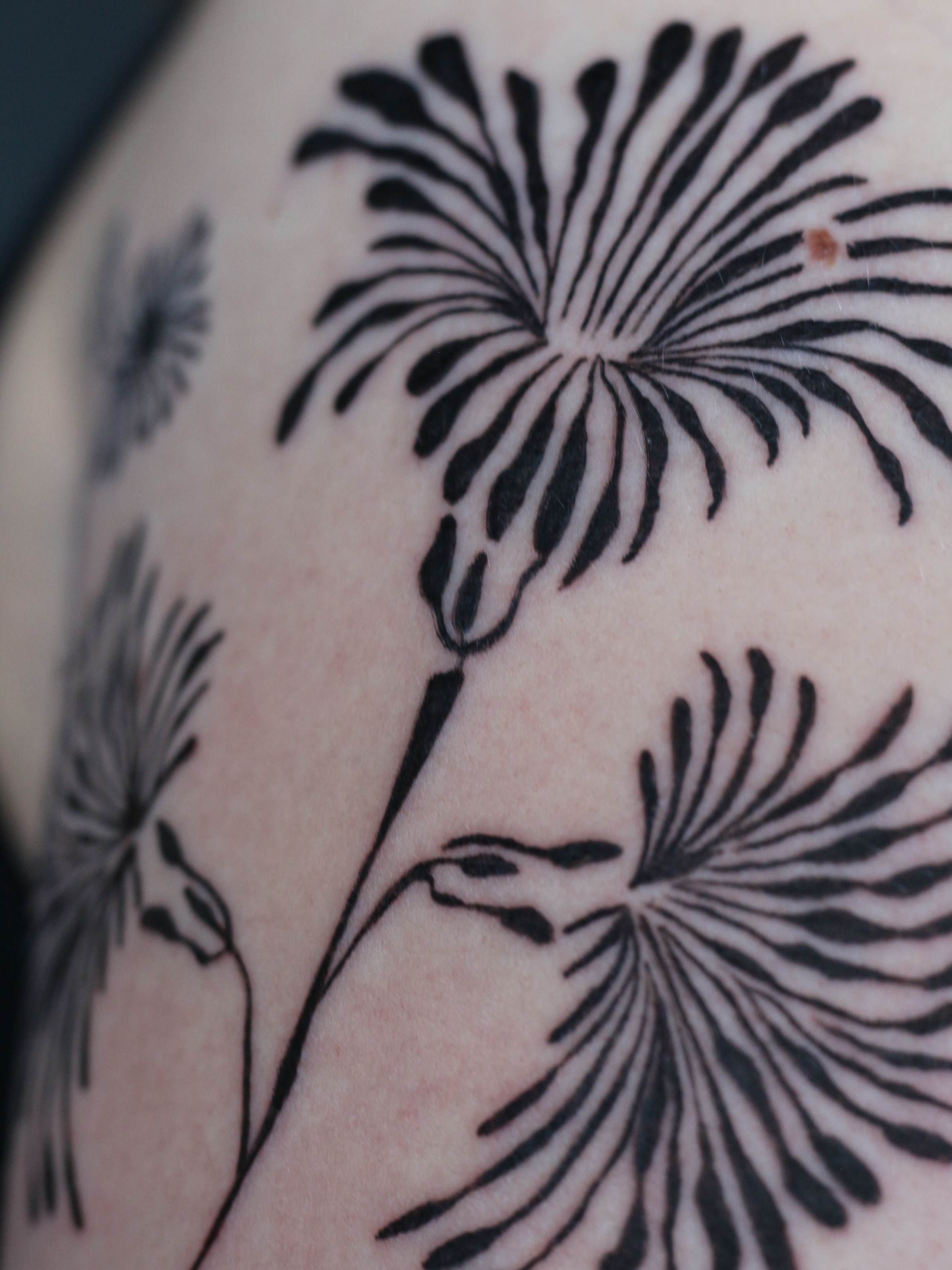 Tattoo by @stephsta2s — black_and_grey