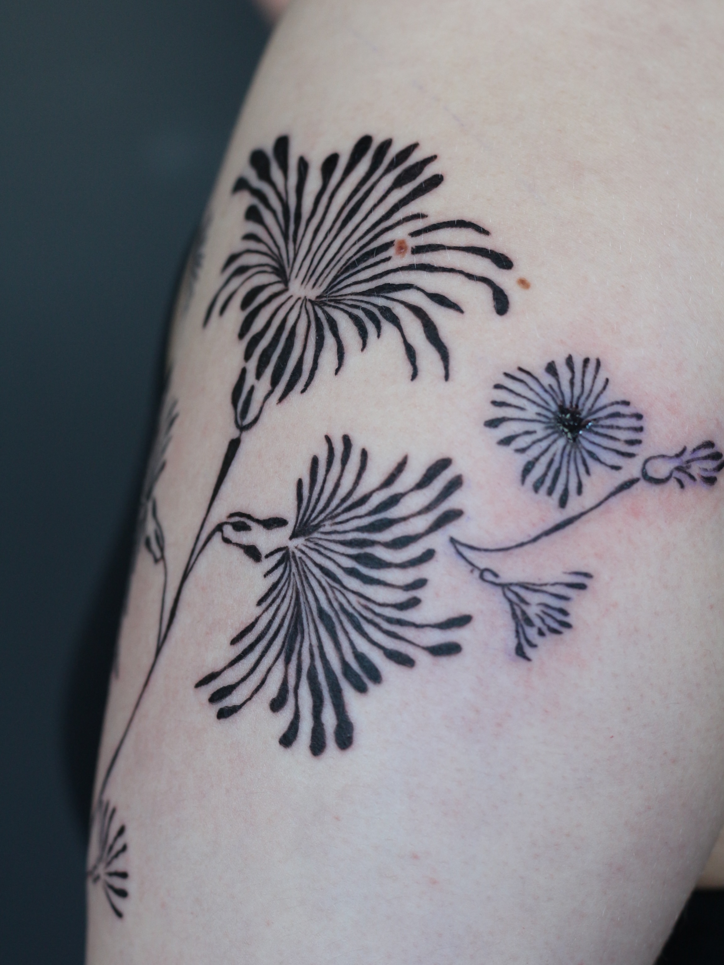 Tattoo by @stephsta2s — black_and_grey