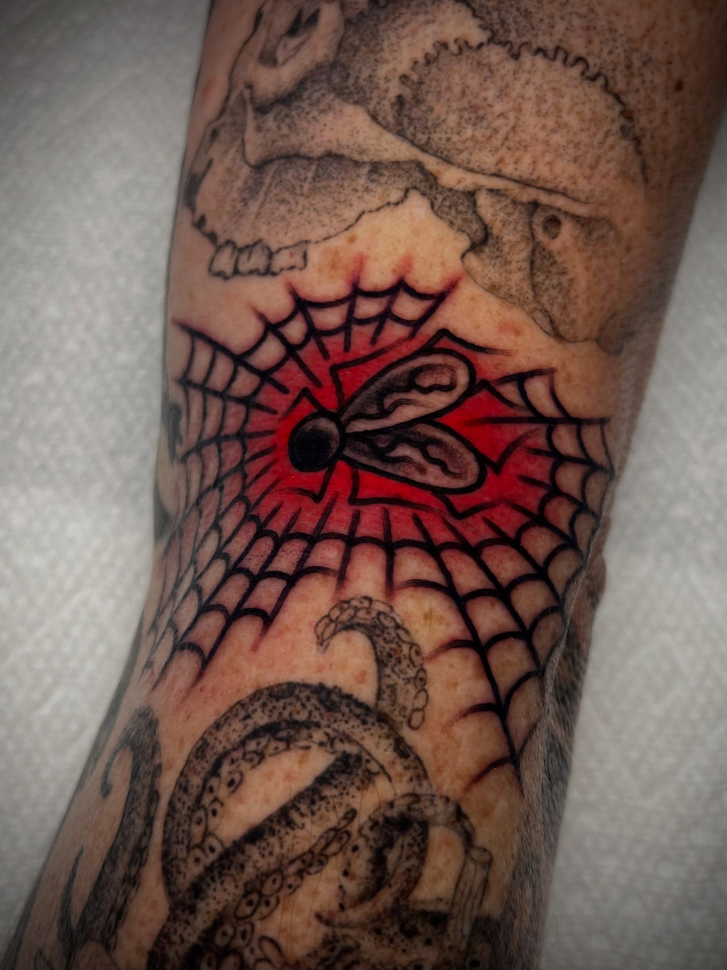 Spiderweb and skull realism tattoo on the forearm by ᴍᴀᴛᴛ ᴀʟᴇxᴀɴᴅᴇʀ