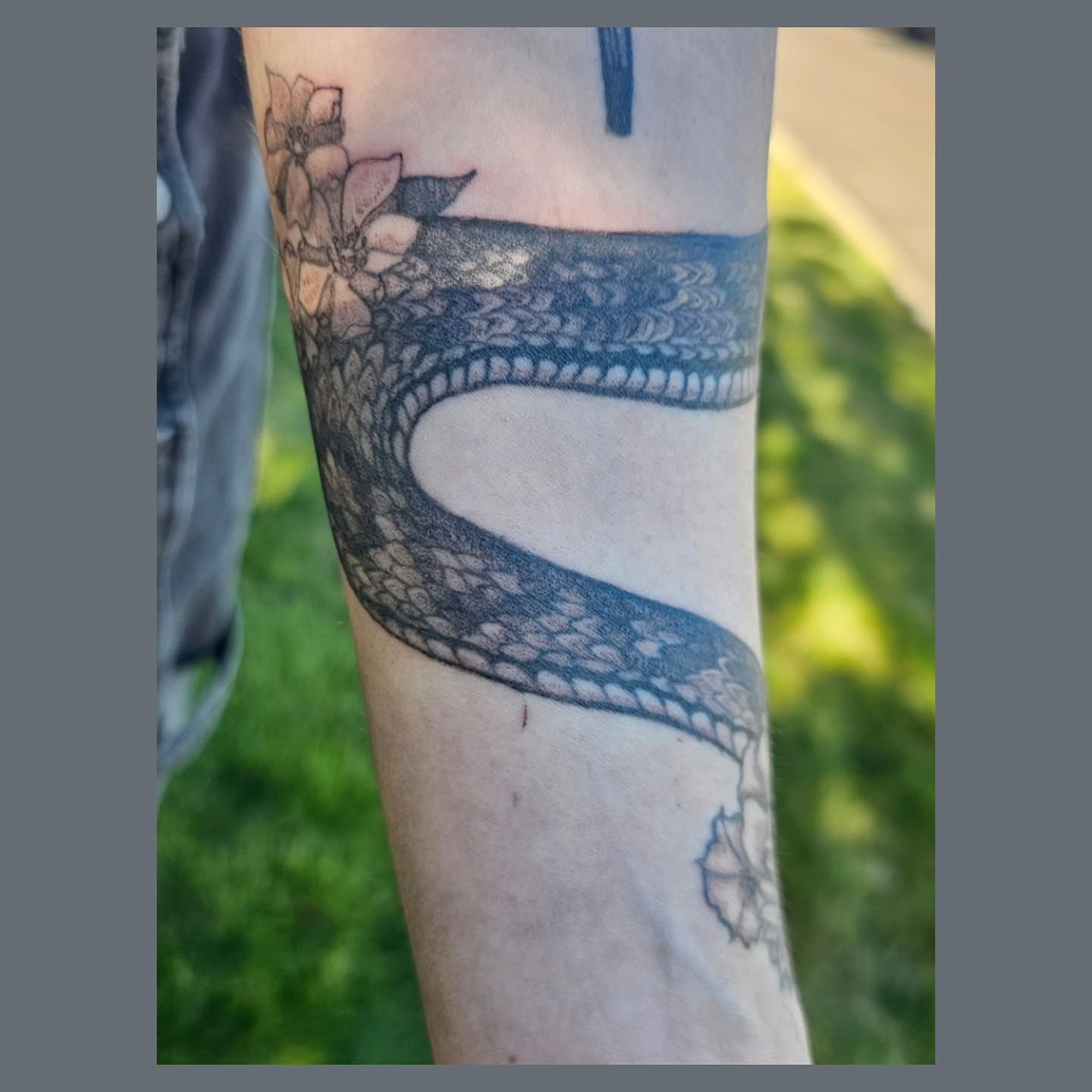 Snake black and grey tattoo on the forearm by The Fabled Tattooist (Alyssa Summers), Eagle Point, Oregon