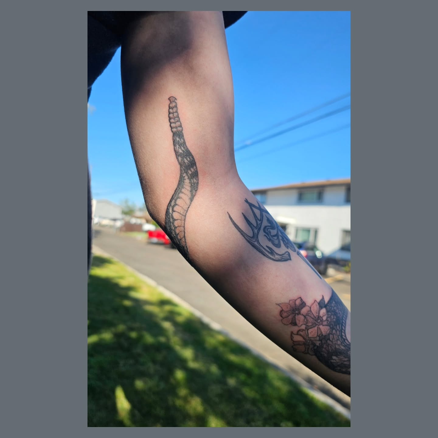 Spine black and grey tattoo on the forearm by The Fabled Tattooist (Alyssa Summers), Eagle Point, Oregon