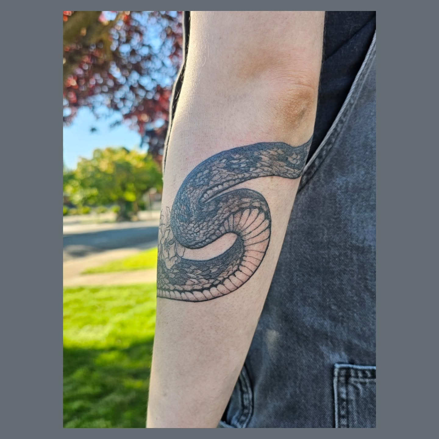 Snake black and grey tattoo on the forearm by The Fabled Tattooist (Alyssa Summers), Eagle Point, Oregon
